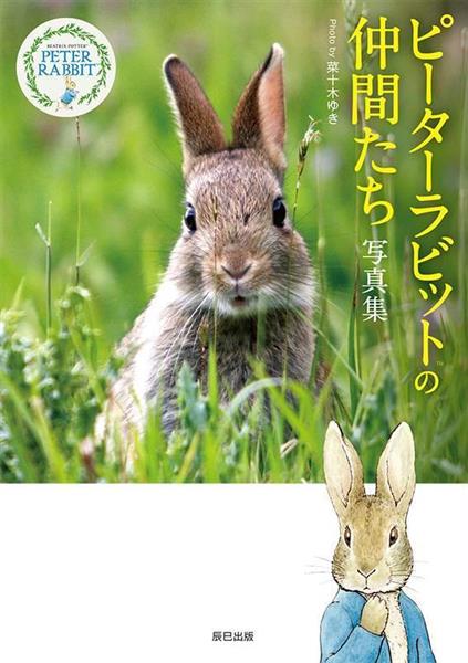 児童書】『ピーターラビットの仲間たち 写真集』菜十木ゆき著 絵本の