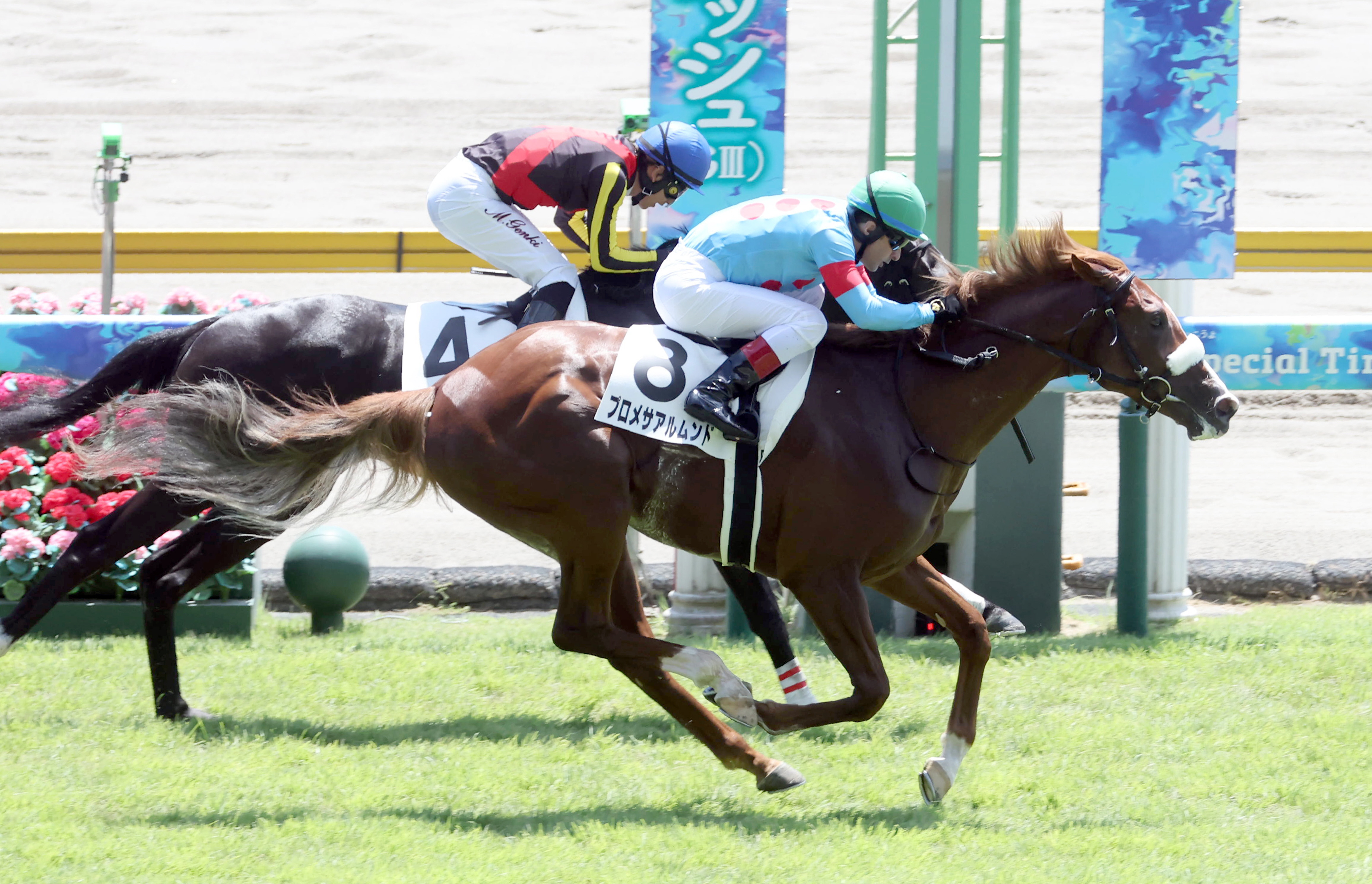 GⅠ9勝馬アーモンドアイの2番子・プロメサアルムンドが骨片摘出手術を