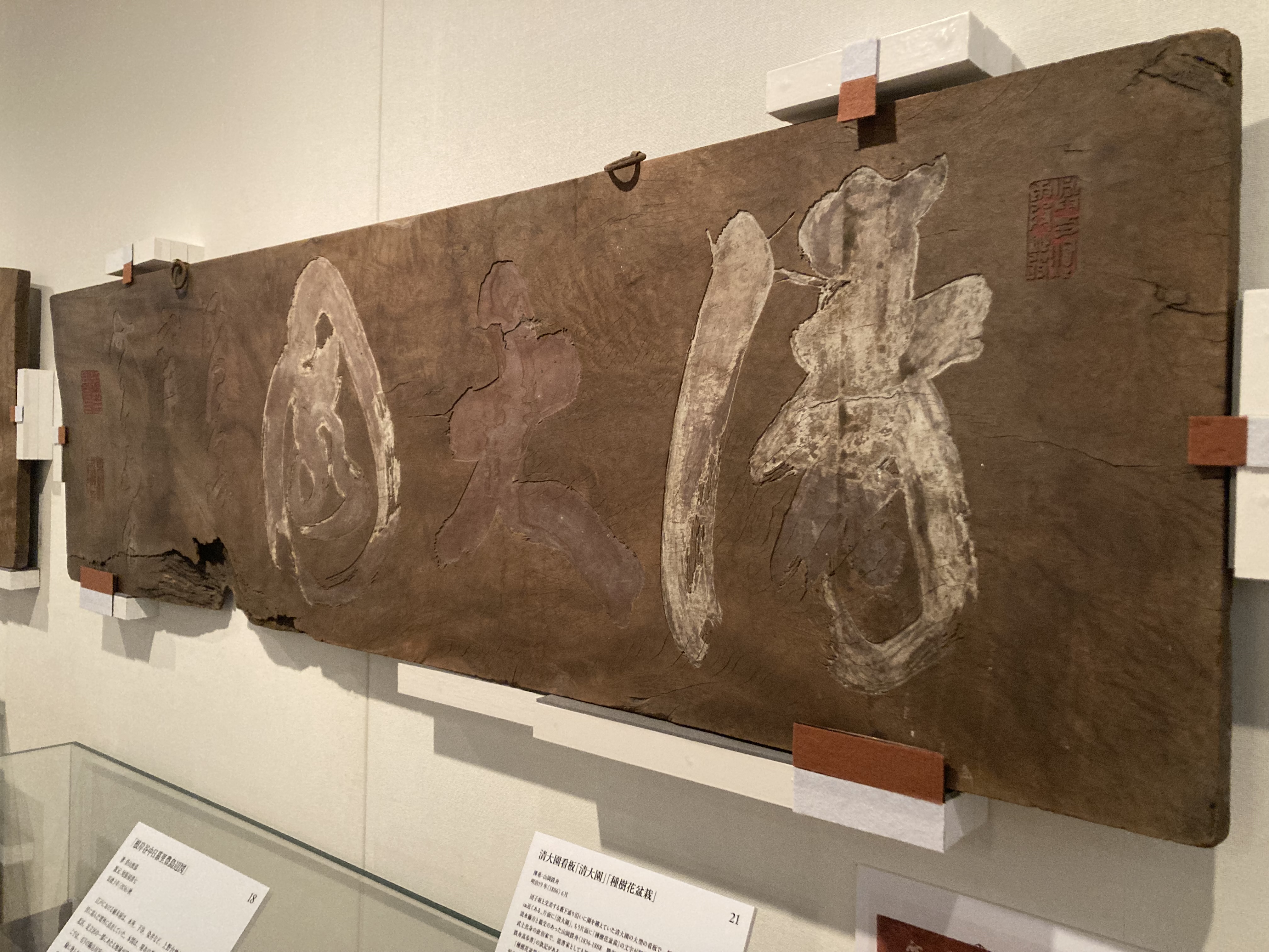 さいたま市盆栽村が100周年で特別展開催 山岡鉄舟の店看板、樹齢1000年
