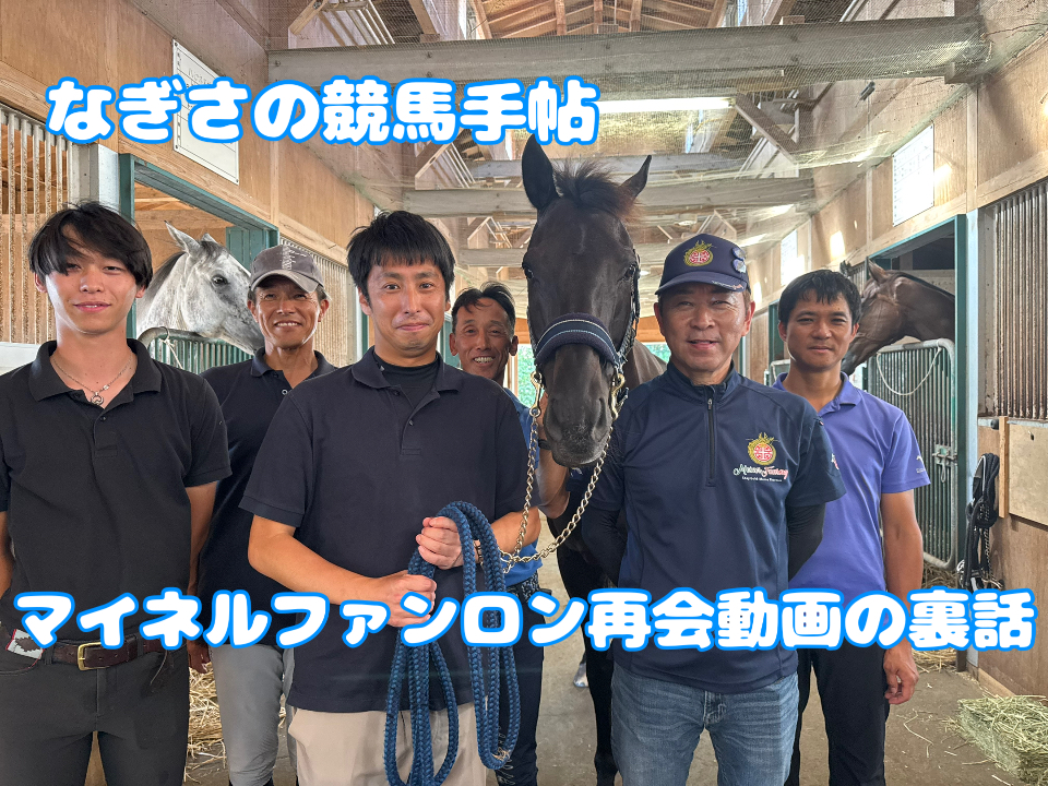 なぎさの競馬手帖】マイネルファンロン再会動画の裏話 - サンスポZBAT!