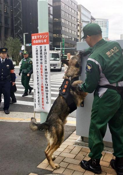 爆発物探索 テロリストも制圧 警察直轄 警備犬 導入へ 大阪府警 東京五輪までに複数匹 1 2ページ 産経ニュース