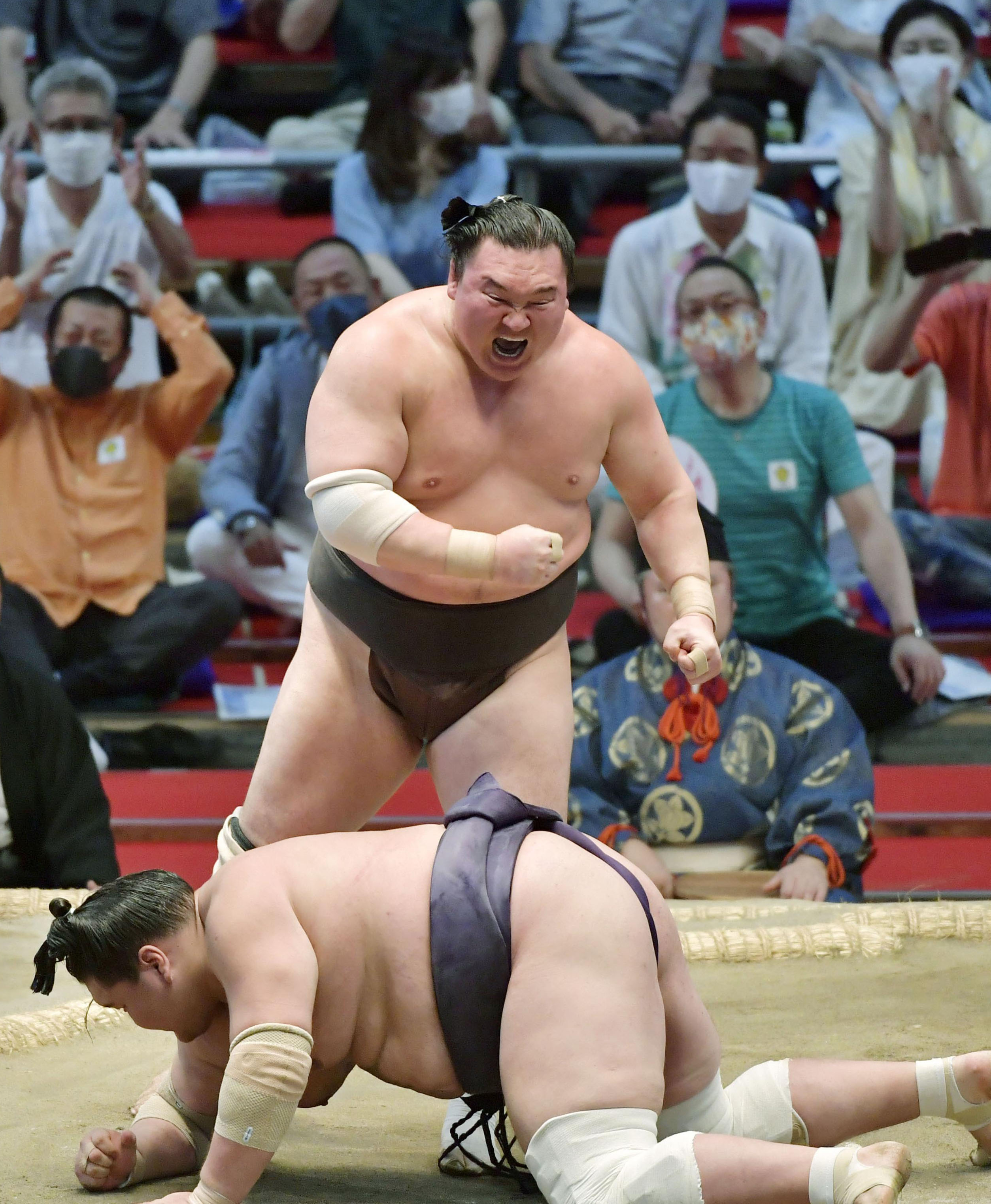 週間売れ筋 【白鵬引退!】白鵬 浴衣 63連勝記念 相撲 着物 力士 - 浴衣