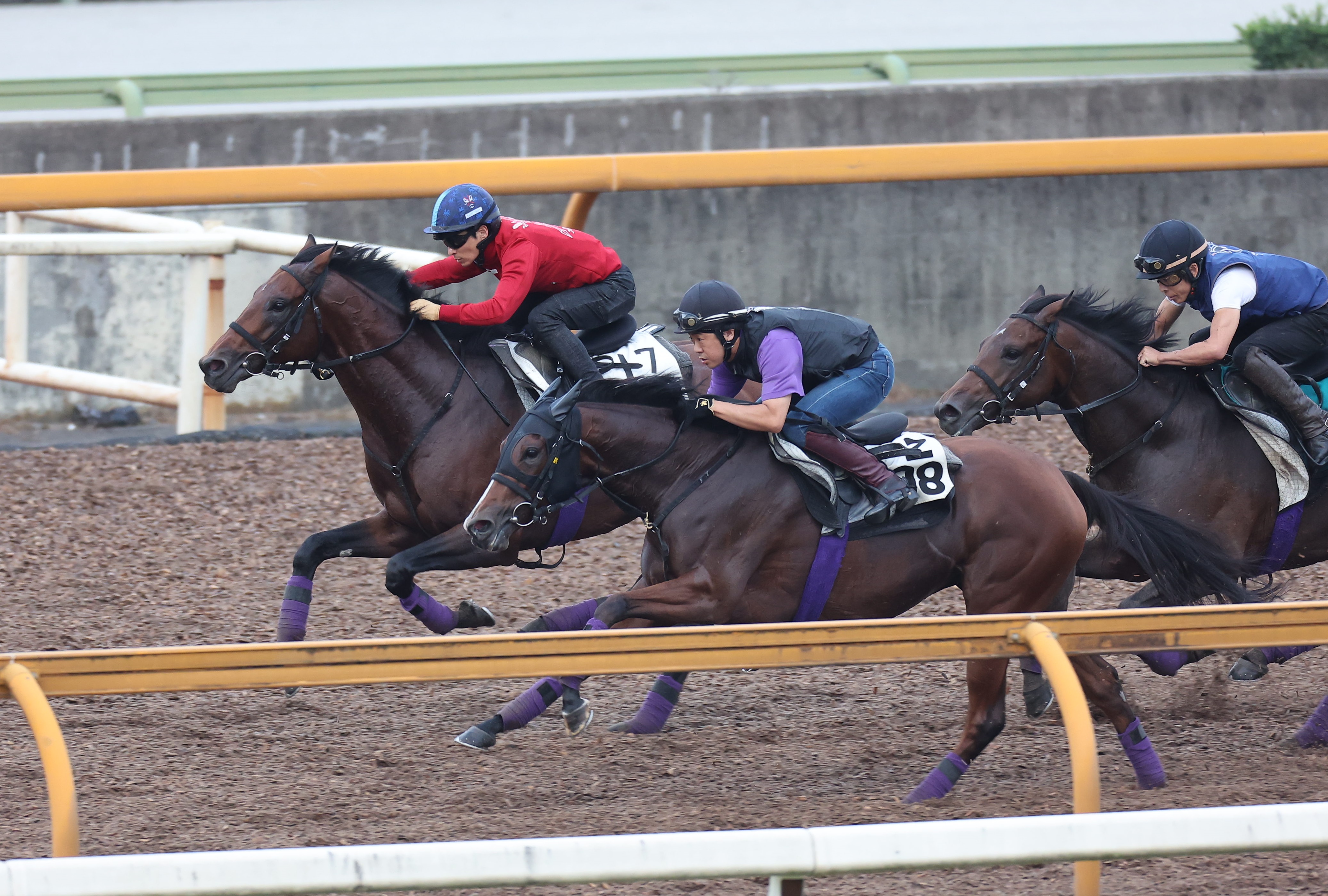 【京都大賞典】１週前追い ヒートオンビート重賞連勝へ順調