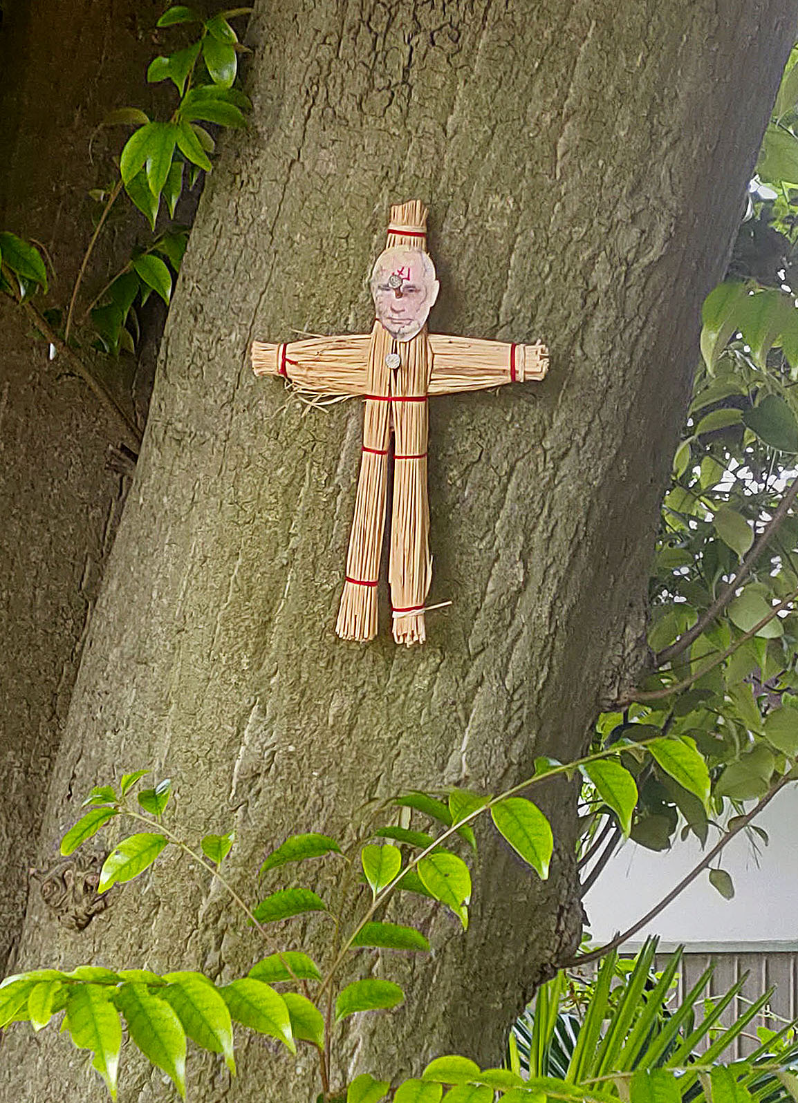 プーチン氏のわら人形を神木に 男逮捕 産経ニュース