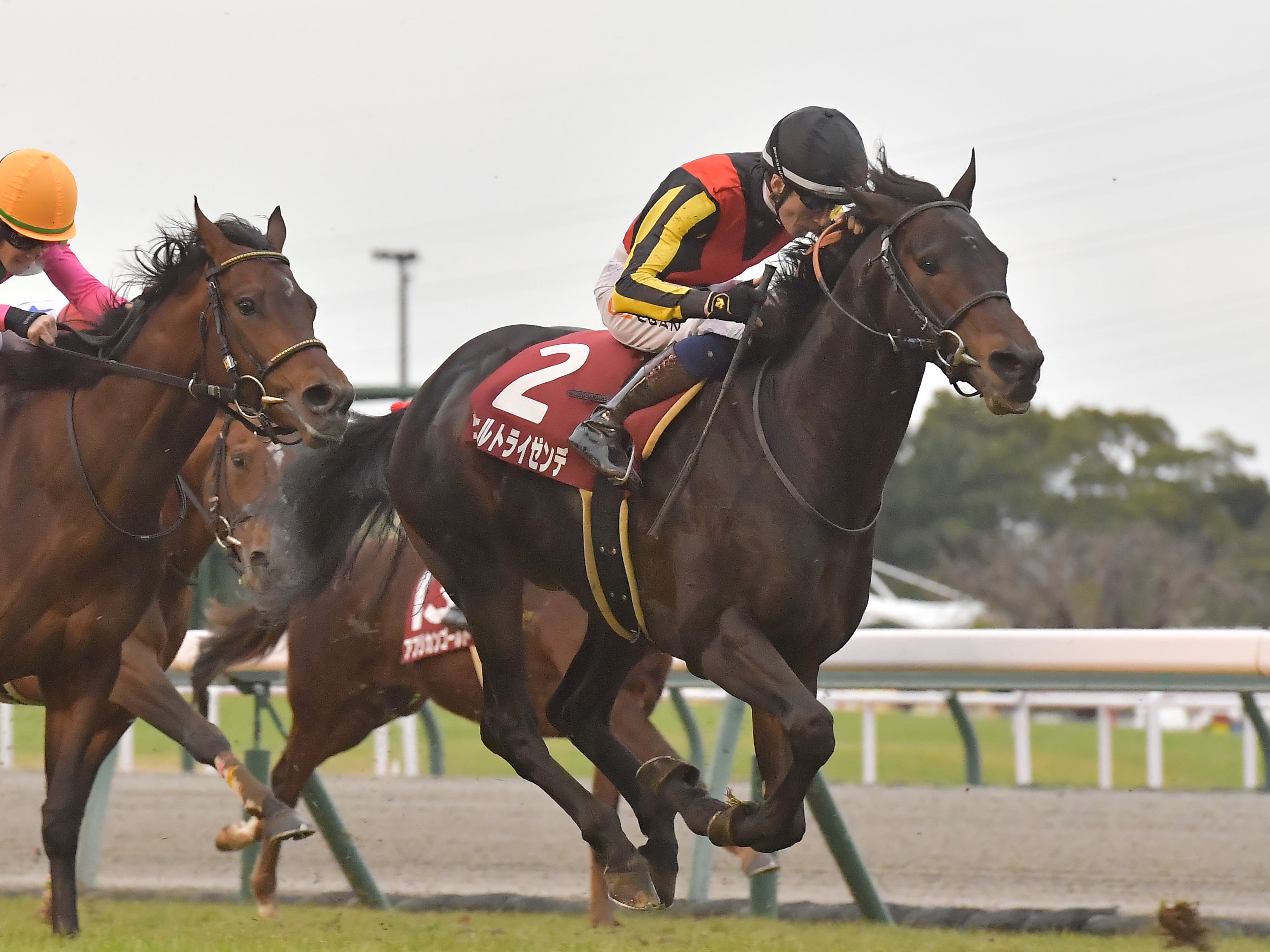 重賞2勝のヴェルトライゼンデが大腿骨を骨折して急死 - サンスポZBAT!