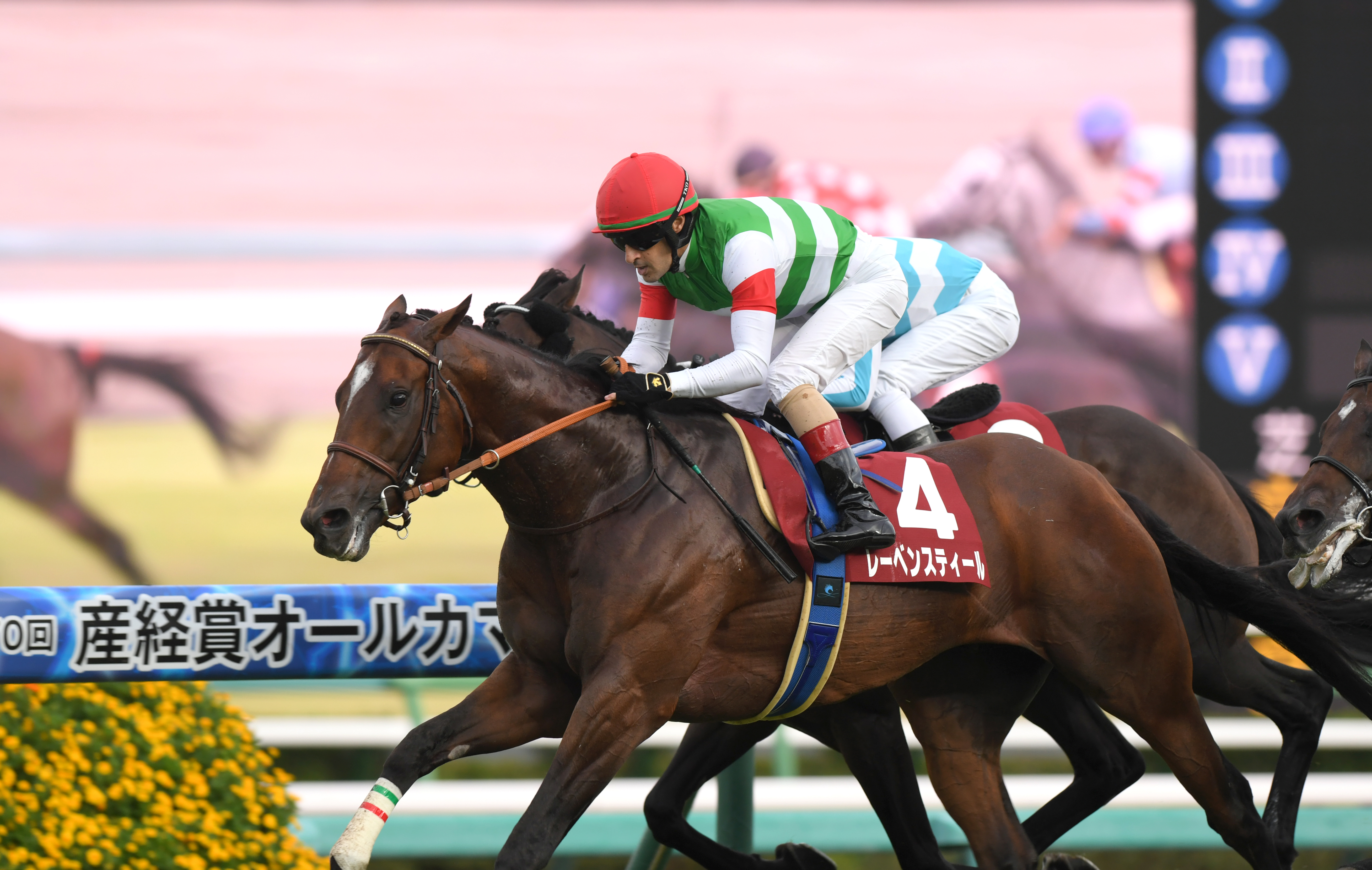 【中古】 井崎脩五郎の競馬探偵/コーエーテクモゲームス/井崎脩五郎 2H7QM7ZBHRIHRBIVUCOPGMKNN4.jpg