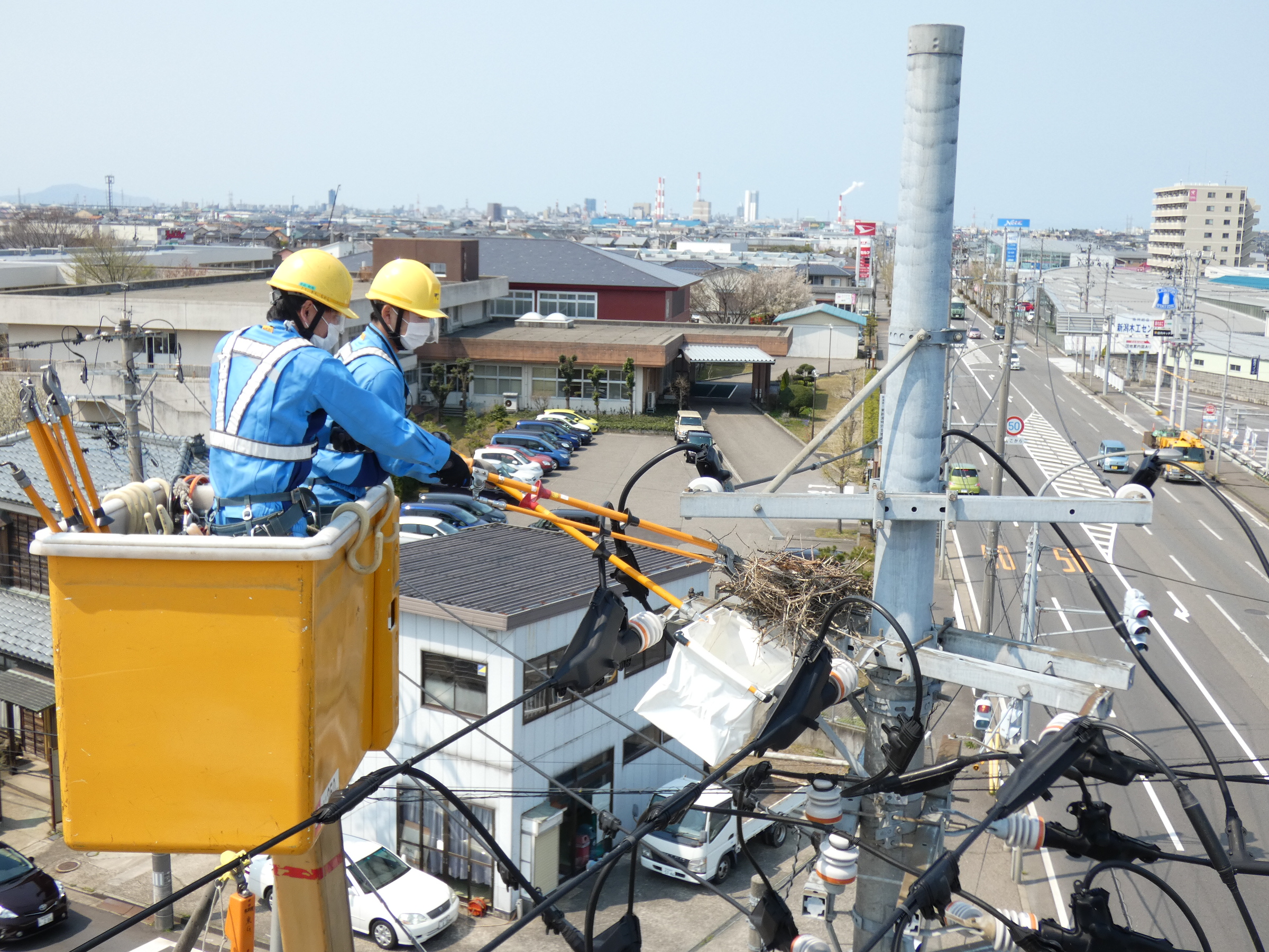 カラスによる停電多発 東北電新潟支社、GWも警戒（2/2ページ