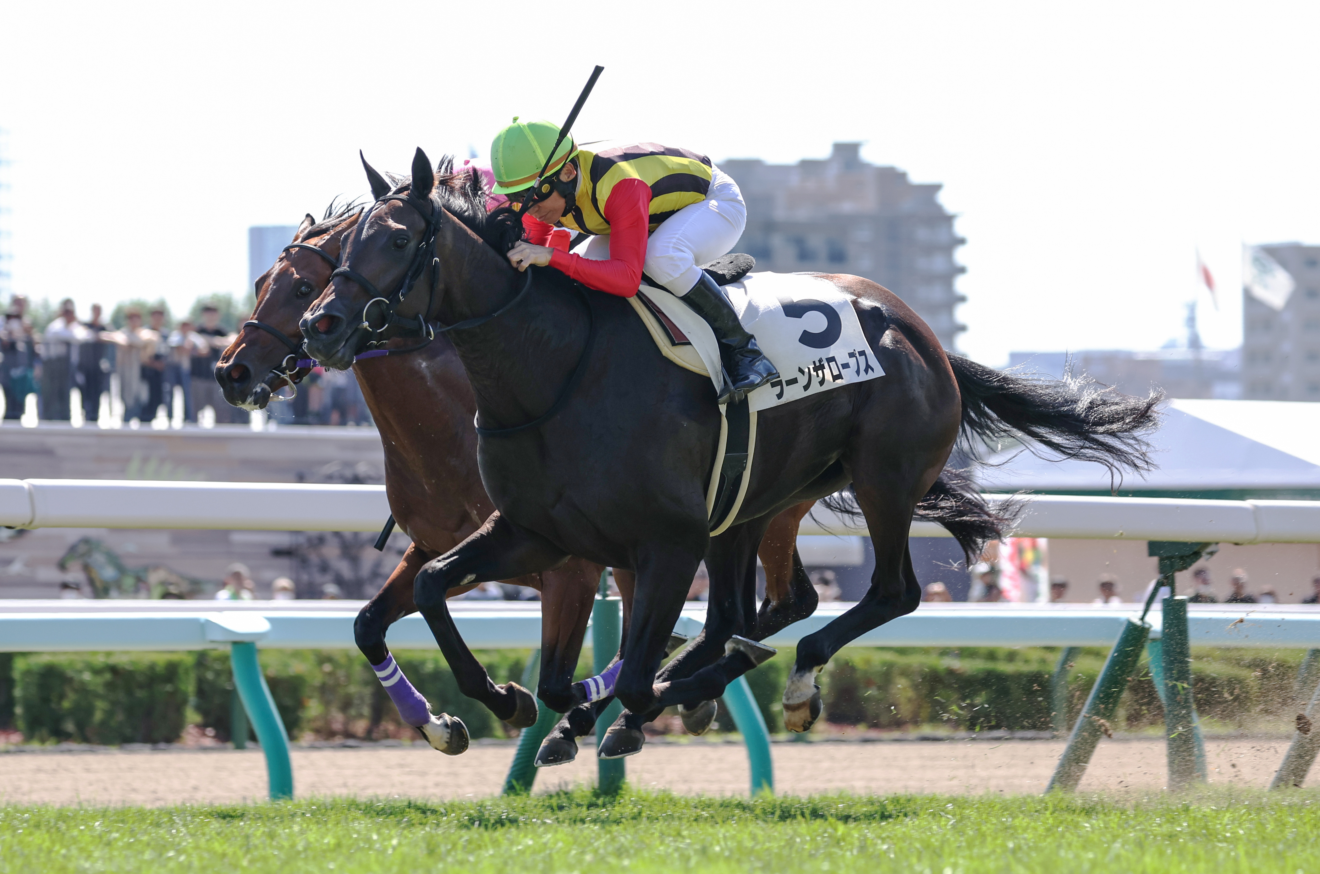 【２歳次走報】ラーンザロープスはサフラン賞を検討