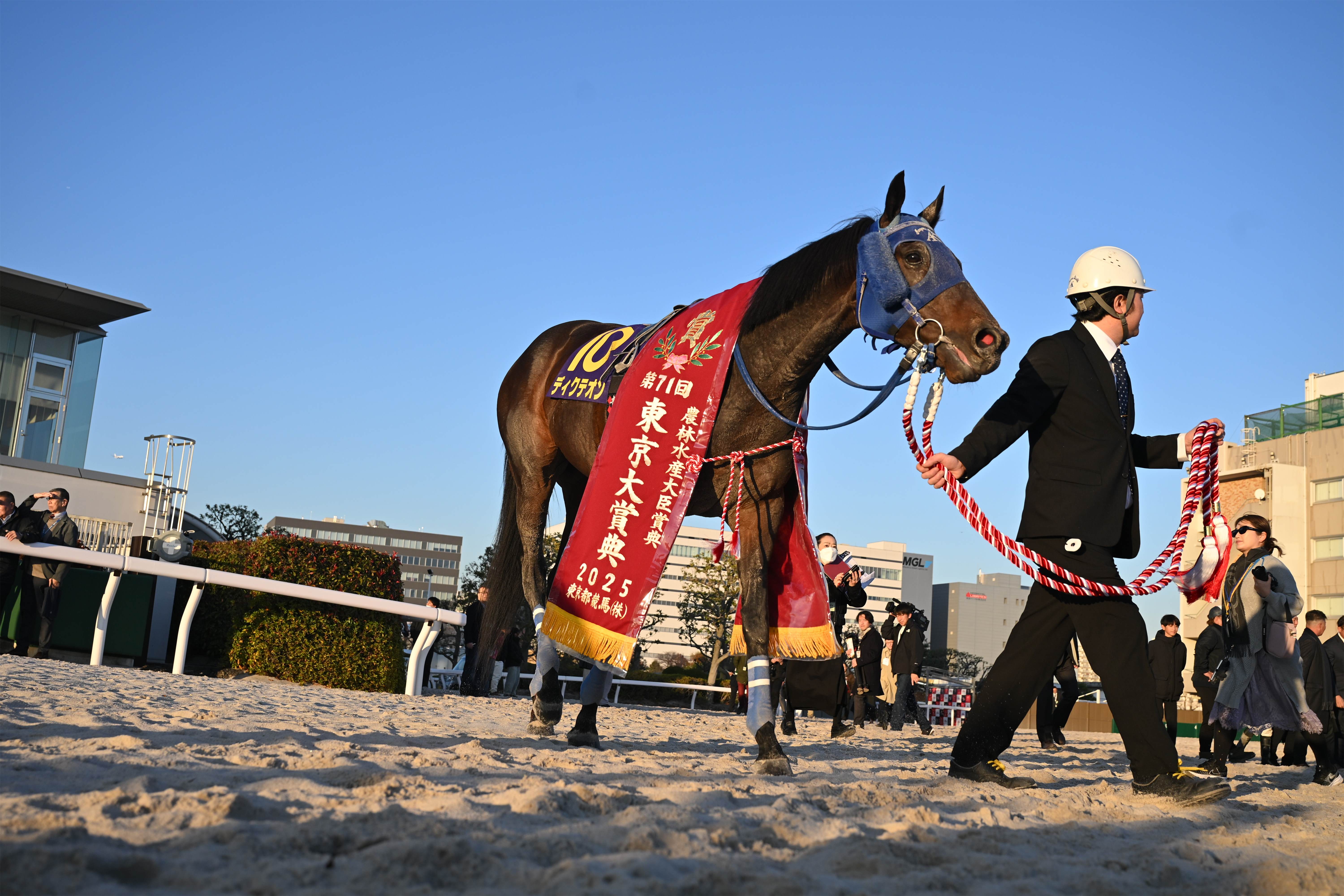 川崎記念】NAR年度代表馬ディクテオン信頼 - サンスポZBAT!