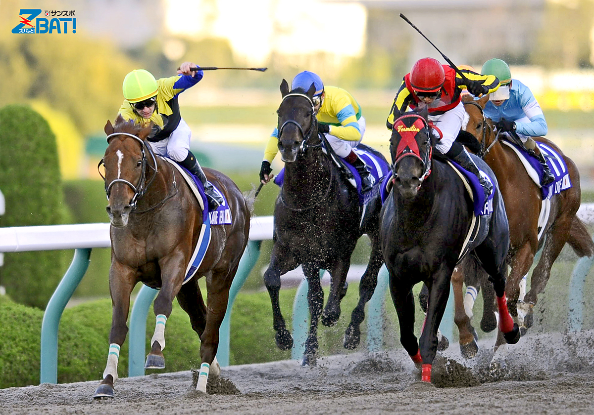 ZBAT写真館】カネヒキリ - サンスポZBAT!