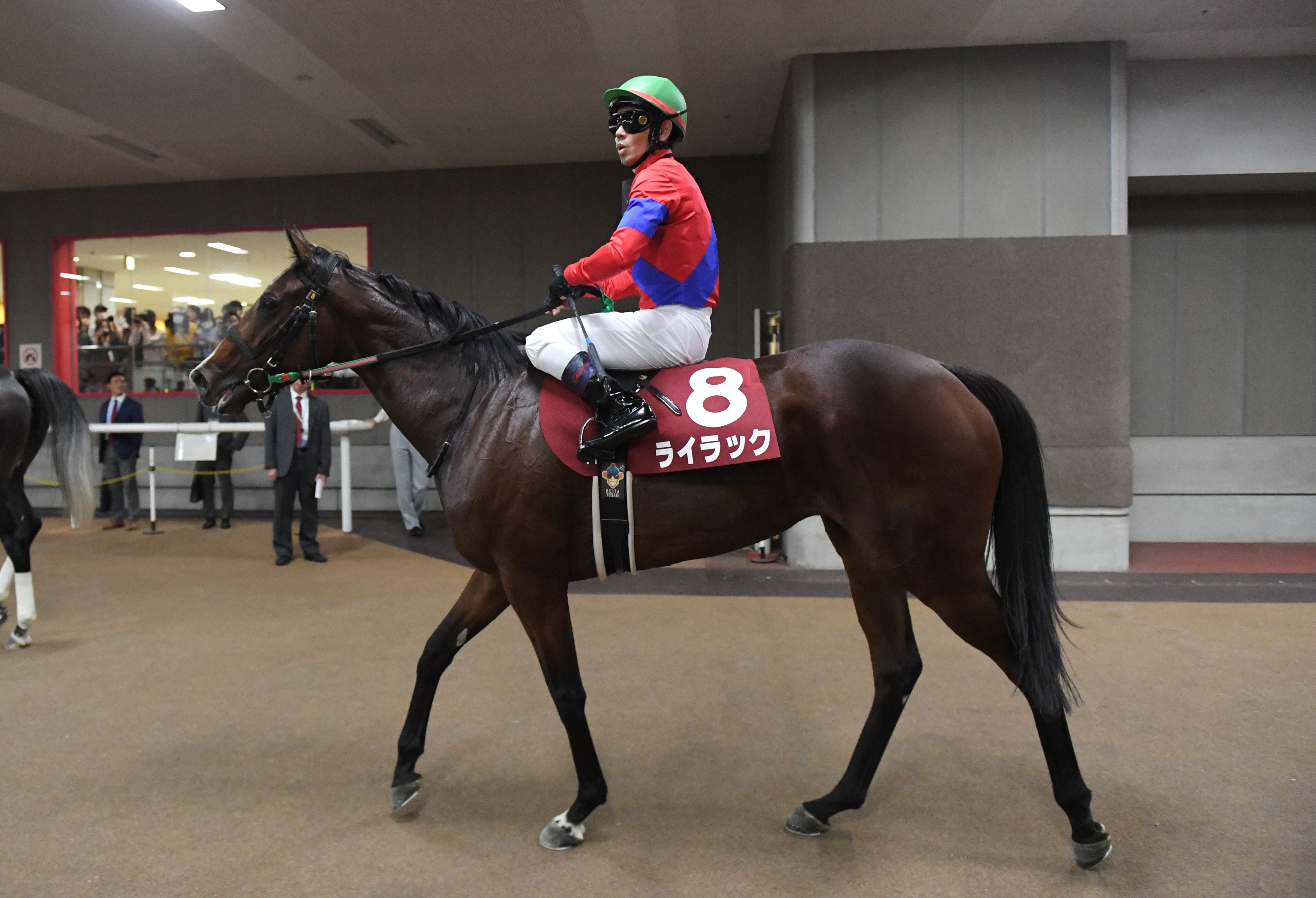 【３歳以上次走報】ライラックは戸崎圭太騎手でエリザベス女王杯へ