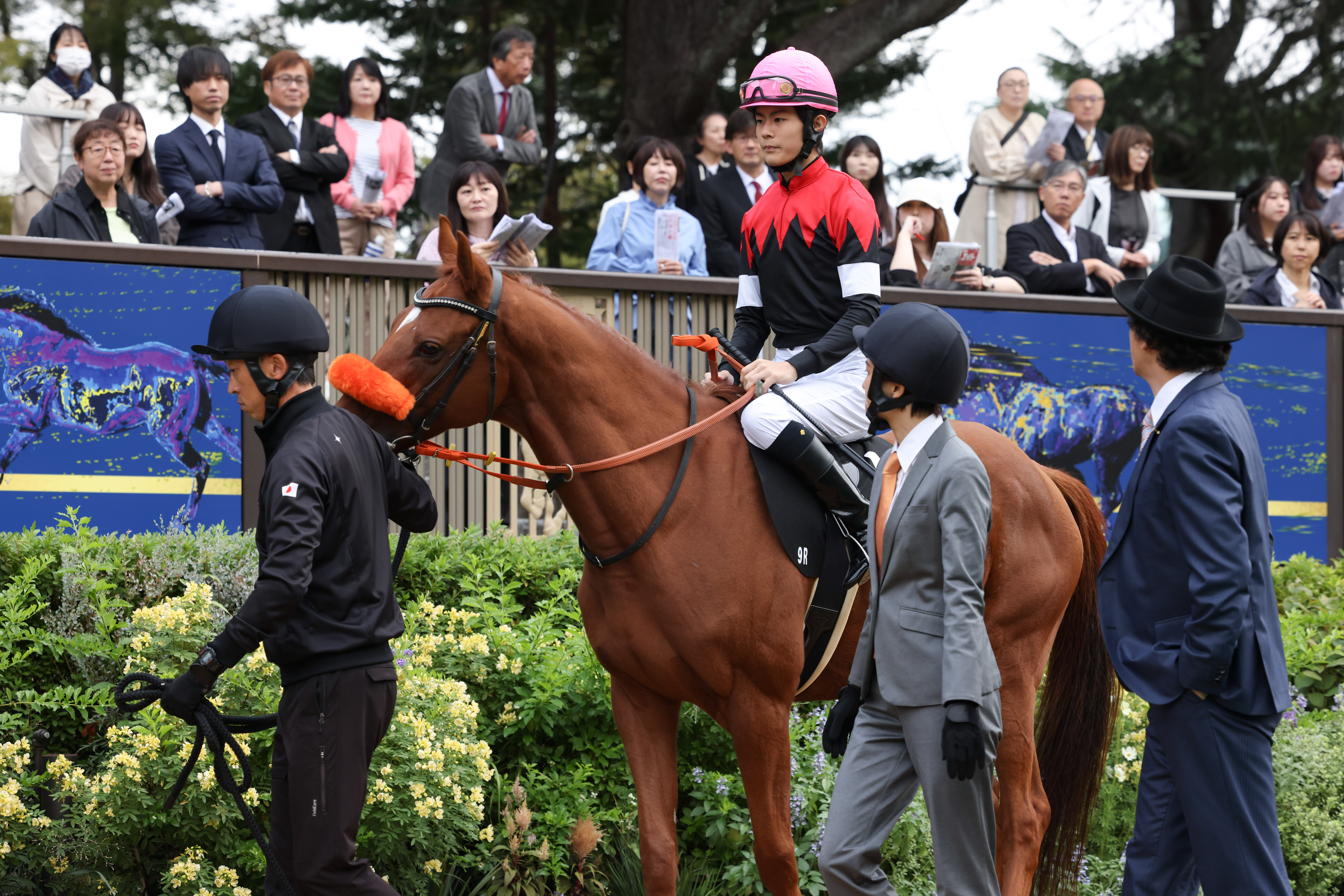 ロイヤルファミリー」凱旋門賞勝利で日本競馬界最強の座に！SNS