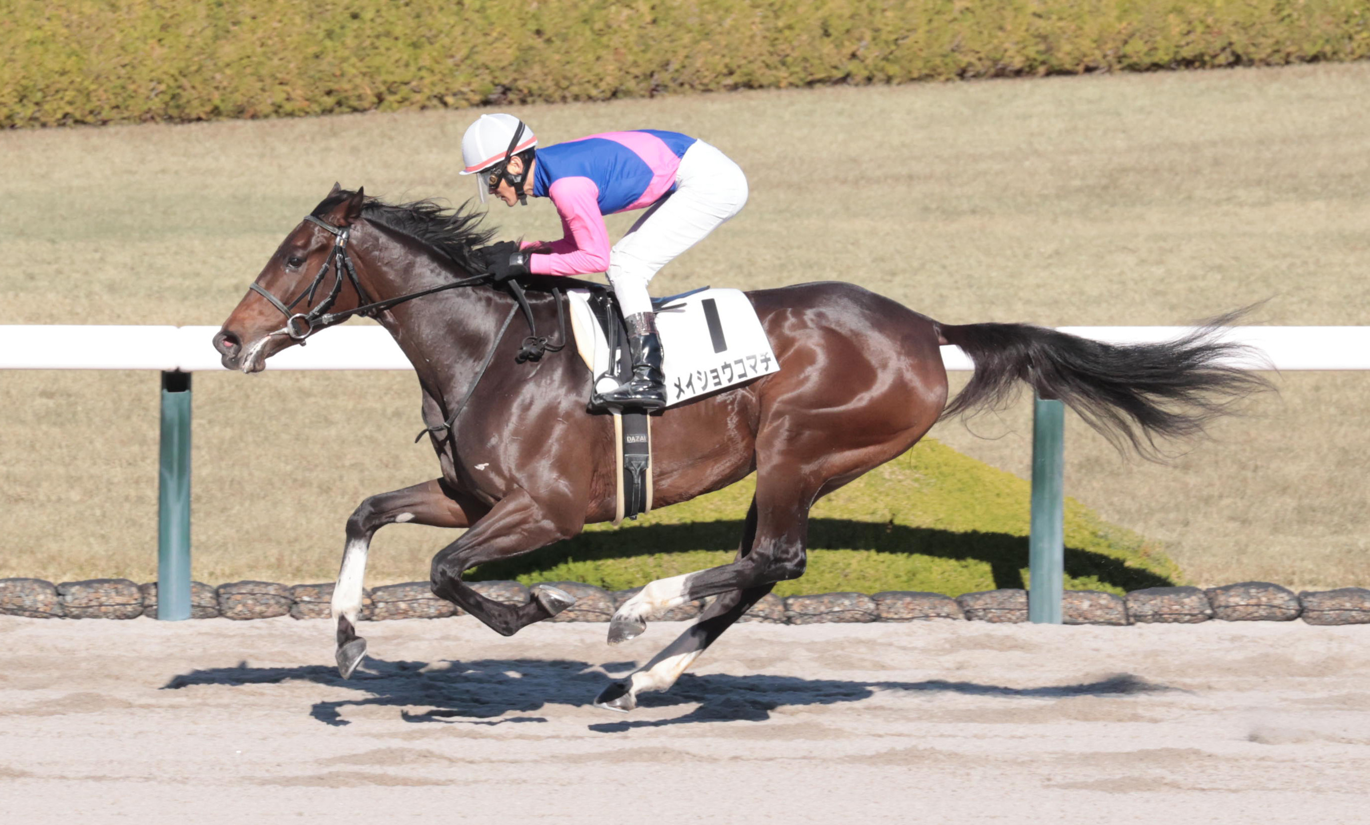 2歳新馬・阪神6R】メイショウコマチが好位追走から差し切りV 太宰啓介