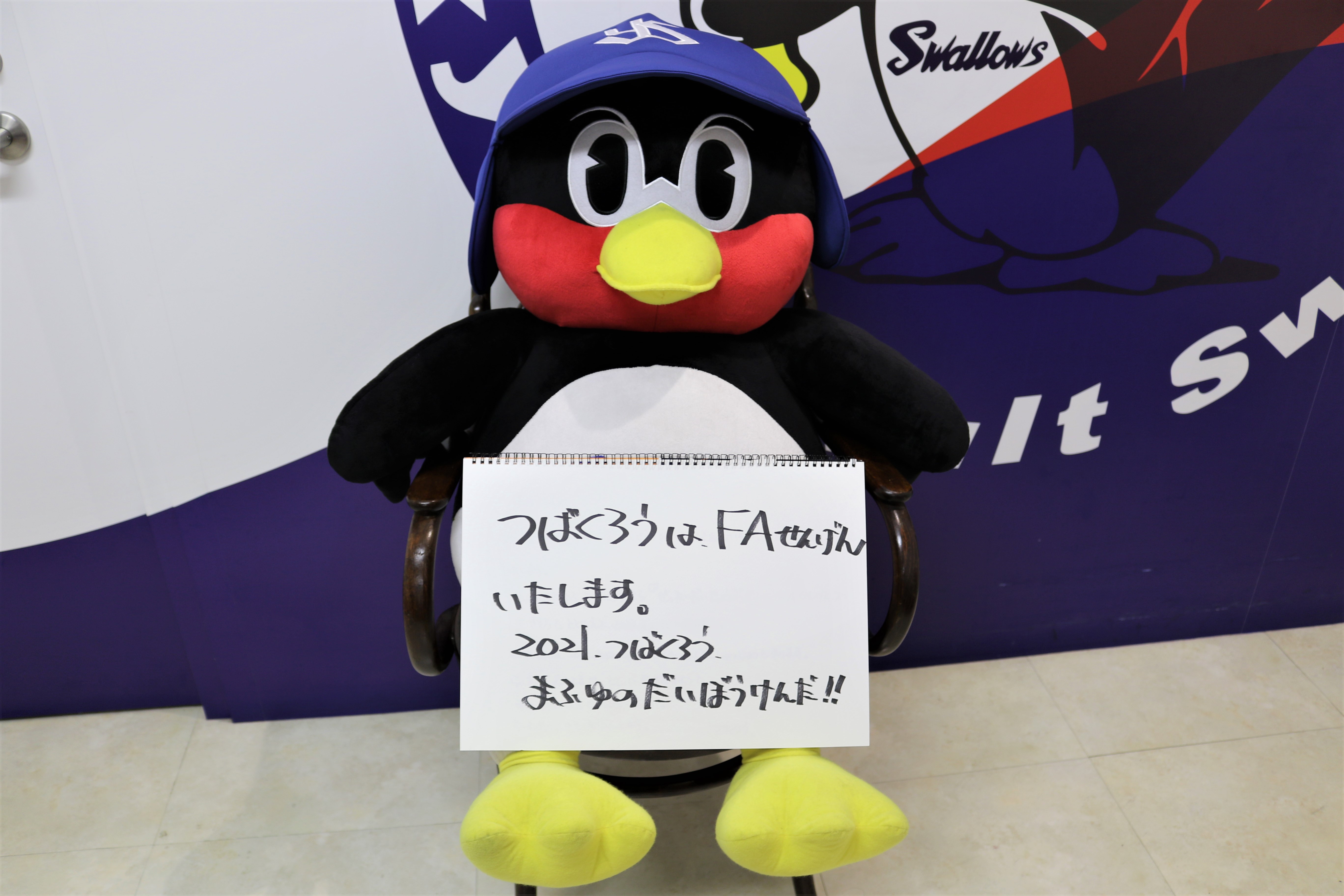 つばくろう様専用ページ 高い素材