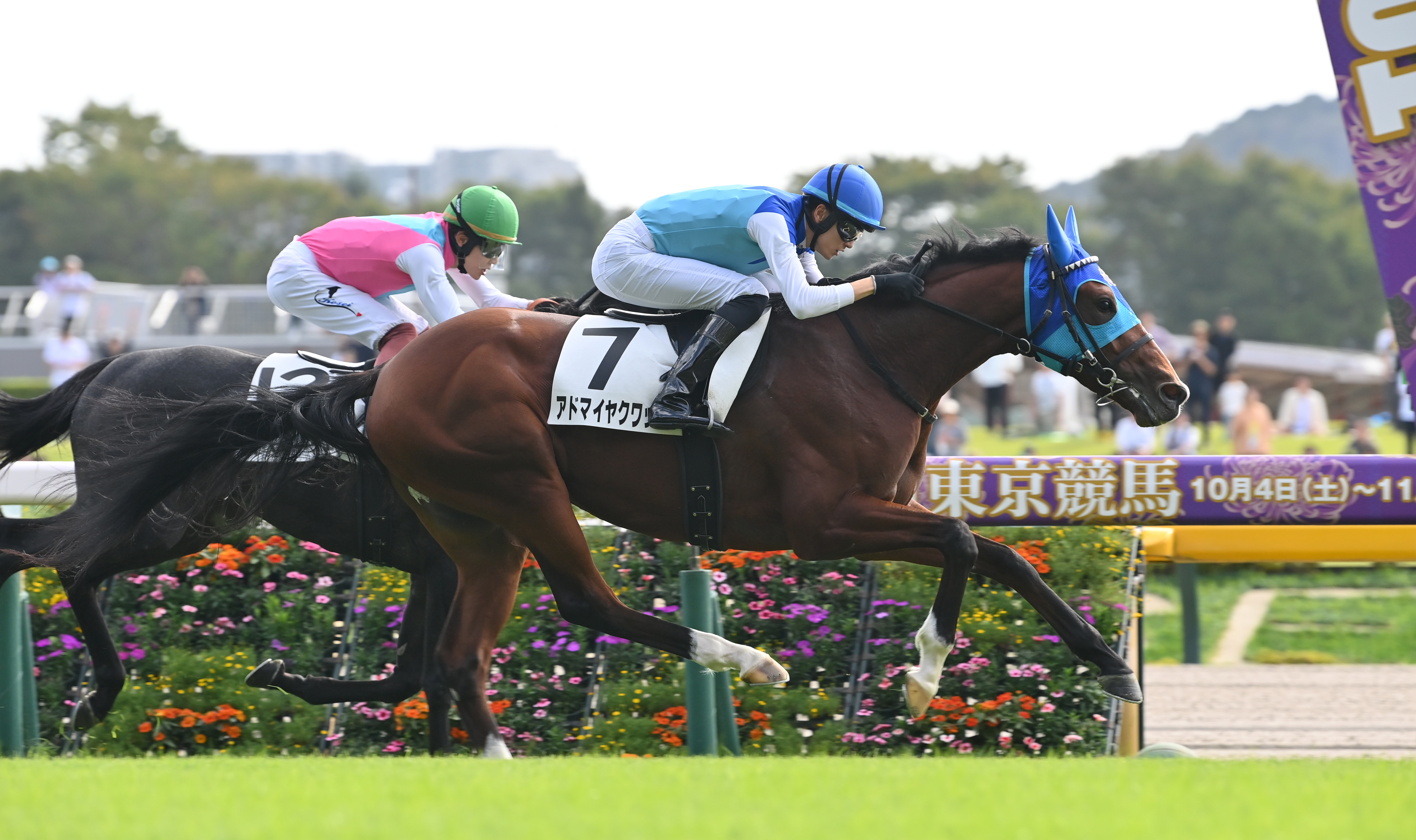 朝日杯FS】トップはアドマイヤクワッズ、エコロアルバの111 プレ