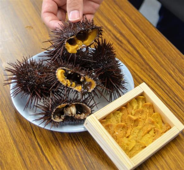 天然物に負けない 由良の赤ウニ 初出荷 ２年前から淡路島で養殖 産経ニュース