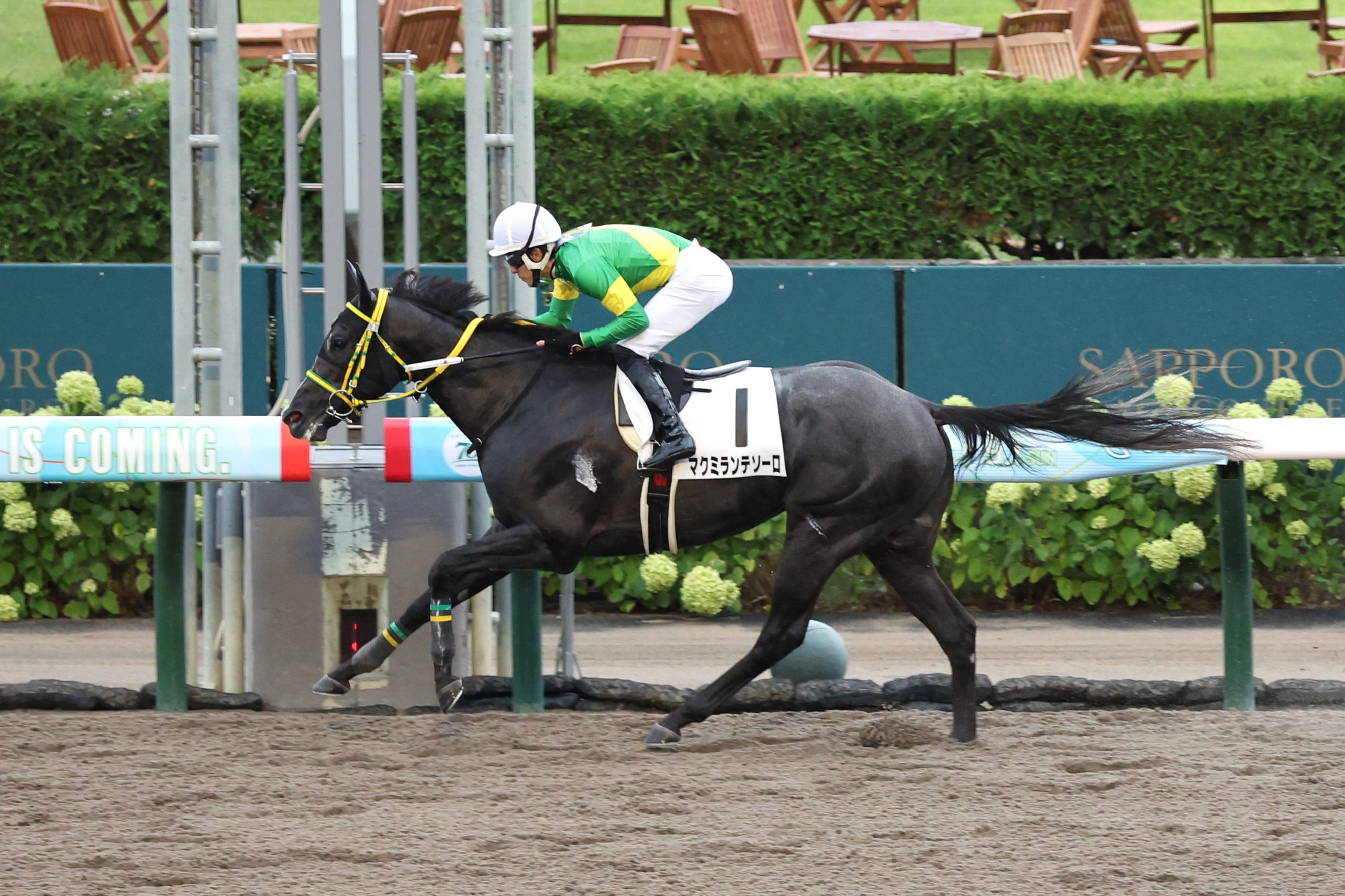 ヒロシのDeepな話】東京のダートは極端な前残り 最初のコーナーでの