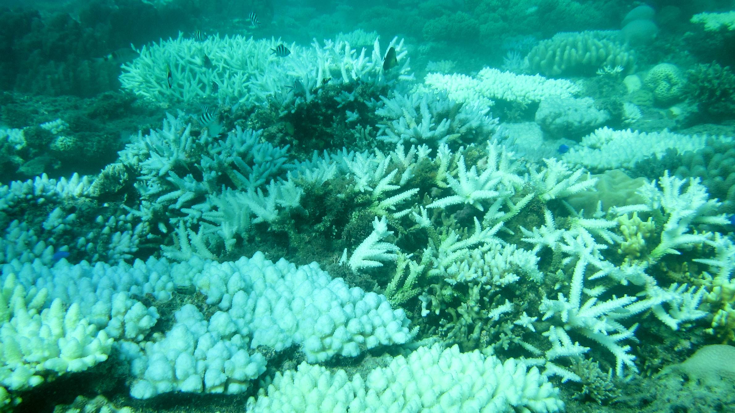 AL224YBP4BO2PPUK46B4PHDHC4.jpg