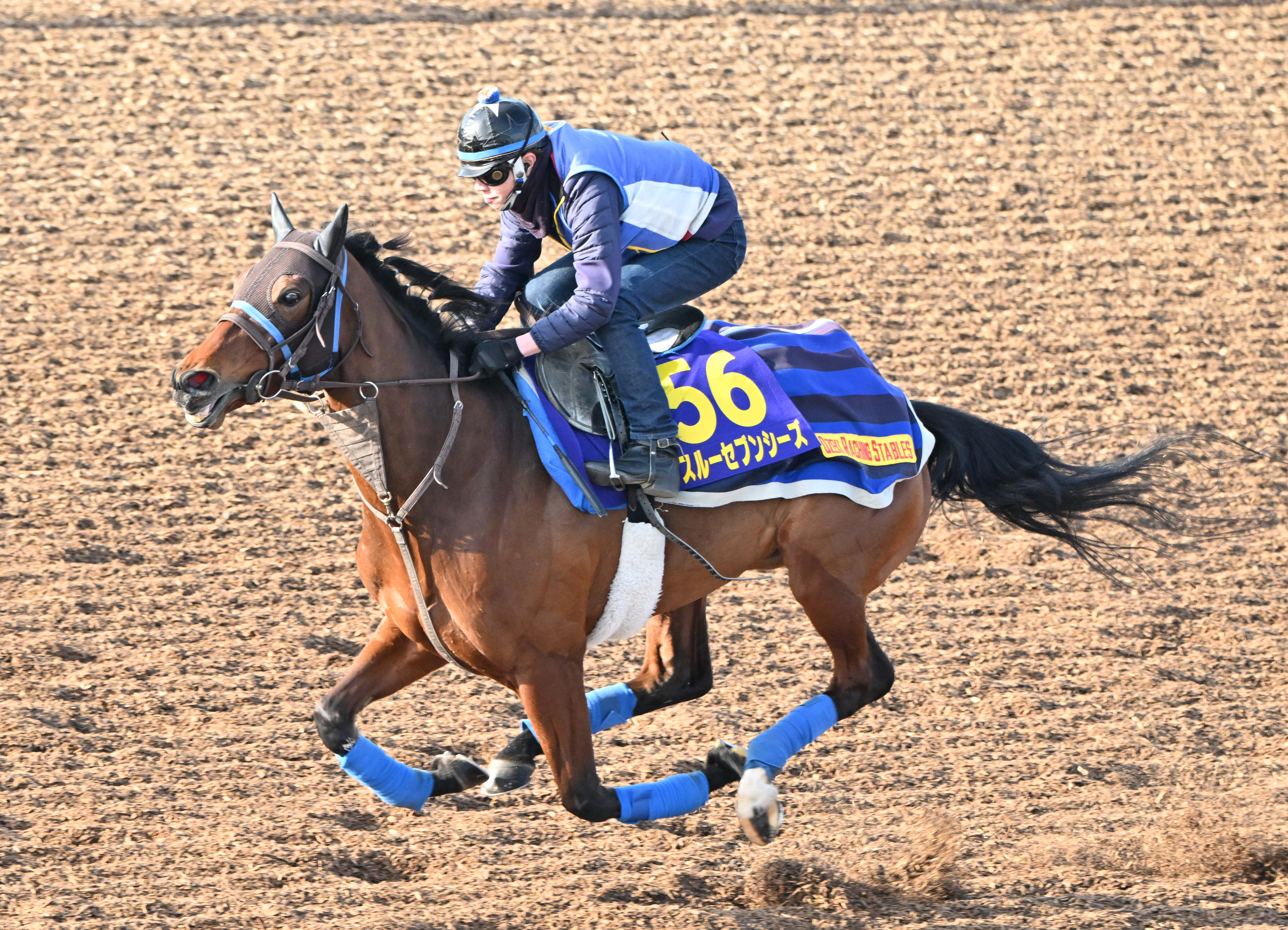 有馬記念】スルーセブンシーズはただ一頭の調教評価『Ｓ』！ 尾関調教 