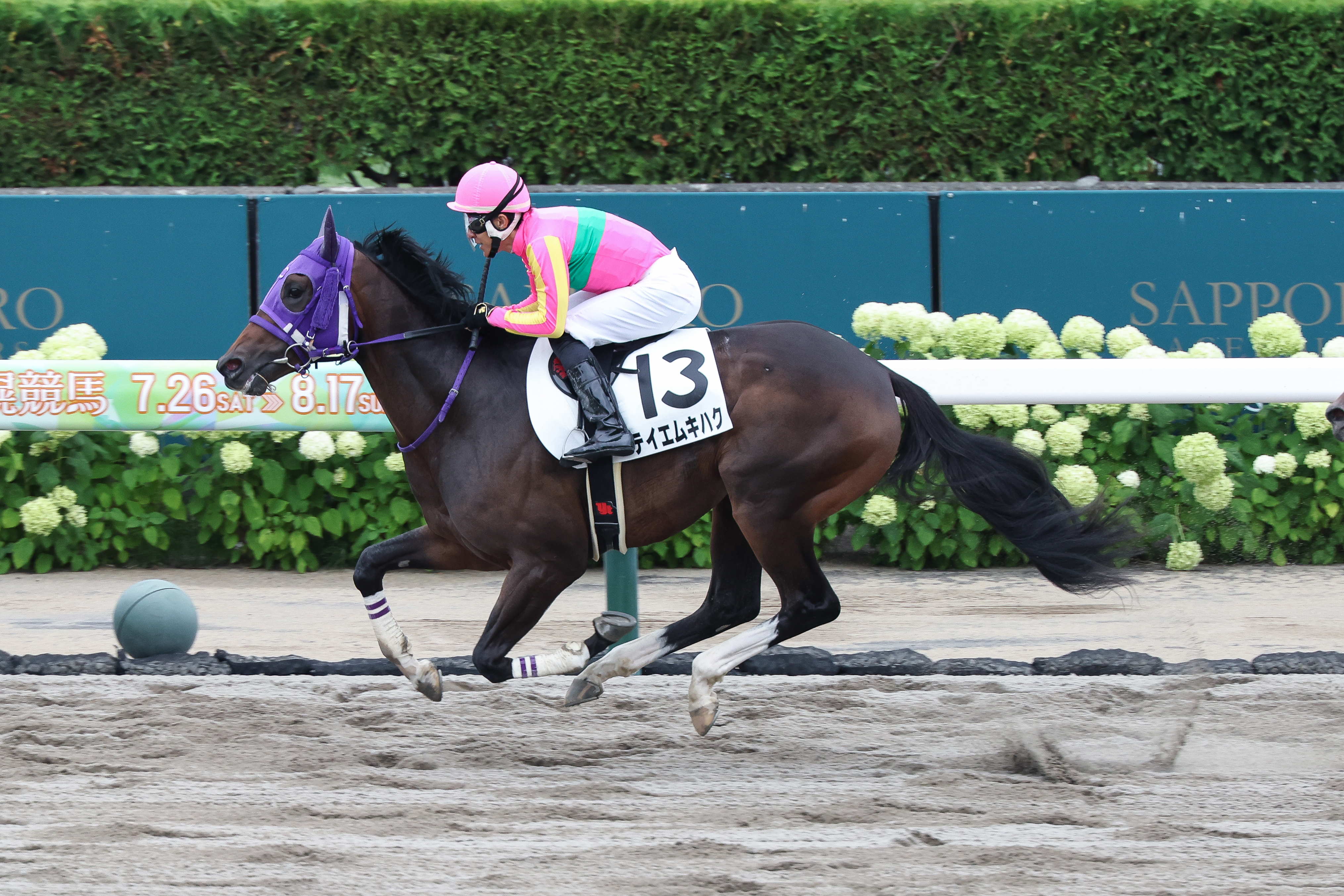 2歳新馬・札幌5R】8番人気の伏兵テイエムキハクが快勝 丹内騎手