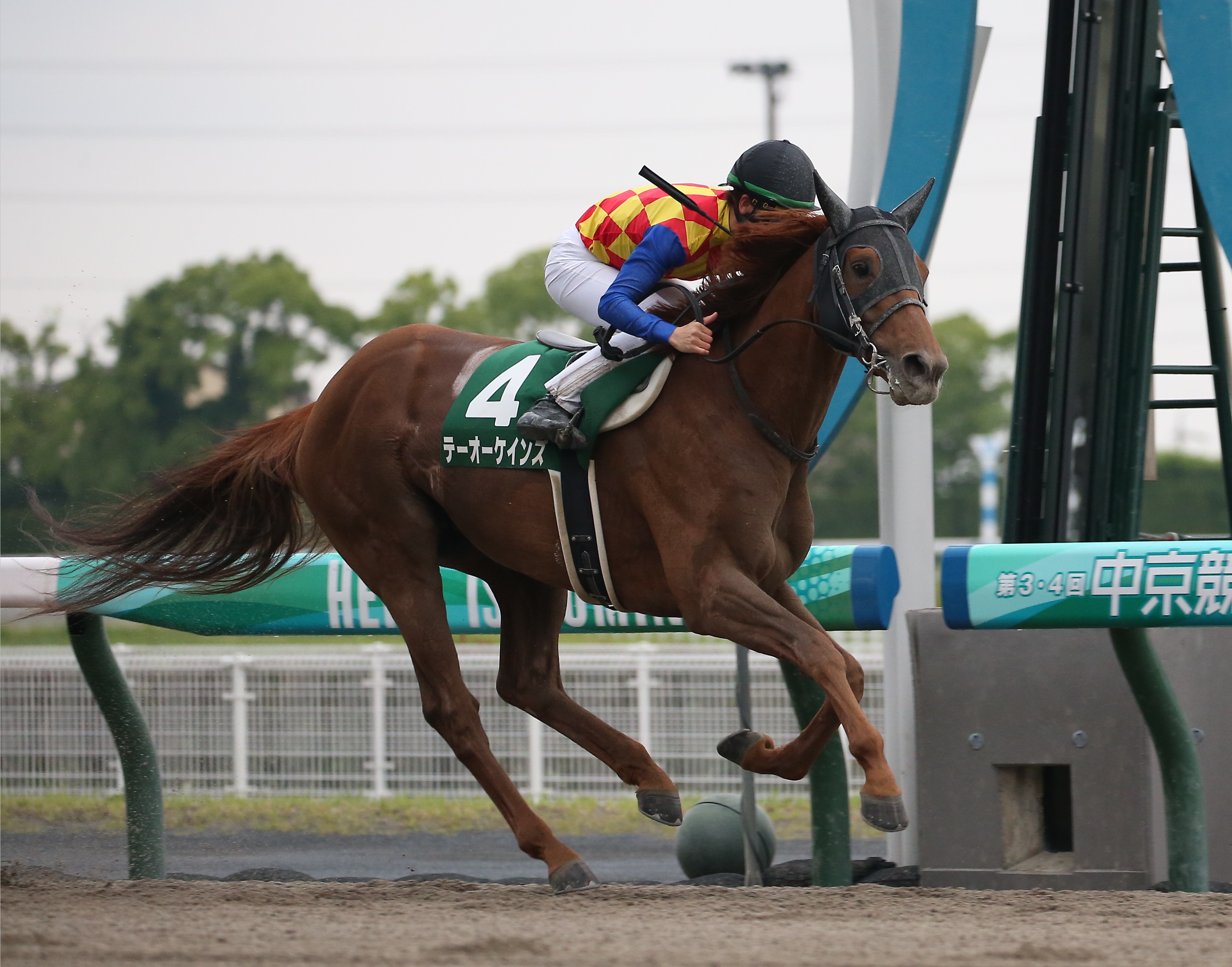 【現地的中】単勝馬券 第19回 帝王賞 ホクトベガ Yahoo!オークション - 断捨離 帝王賞 ホクトベガ 現地的中単勝馬券