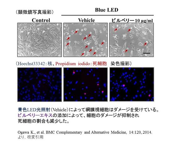 アントシアニンについて詳しく知る 岐阜薬科大 原英彰副学長に聞く Sponsored 産経ニュース