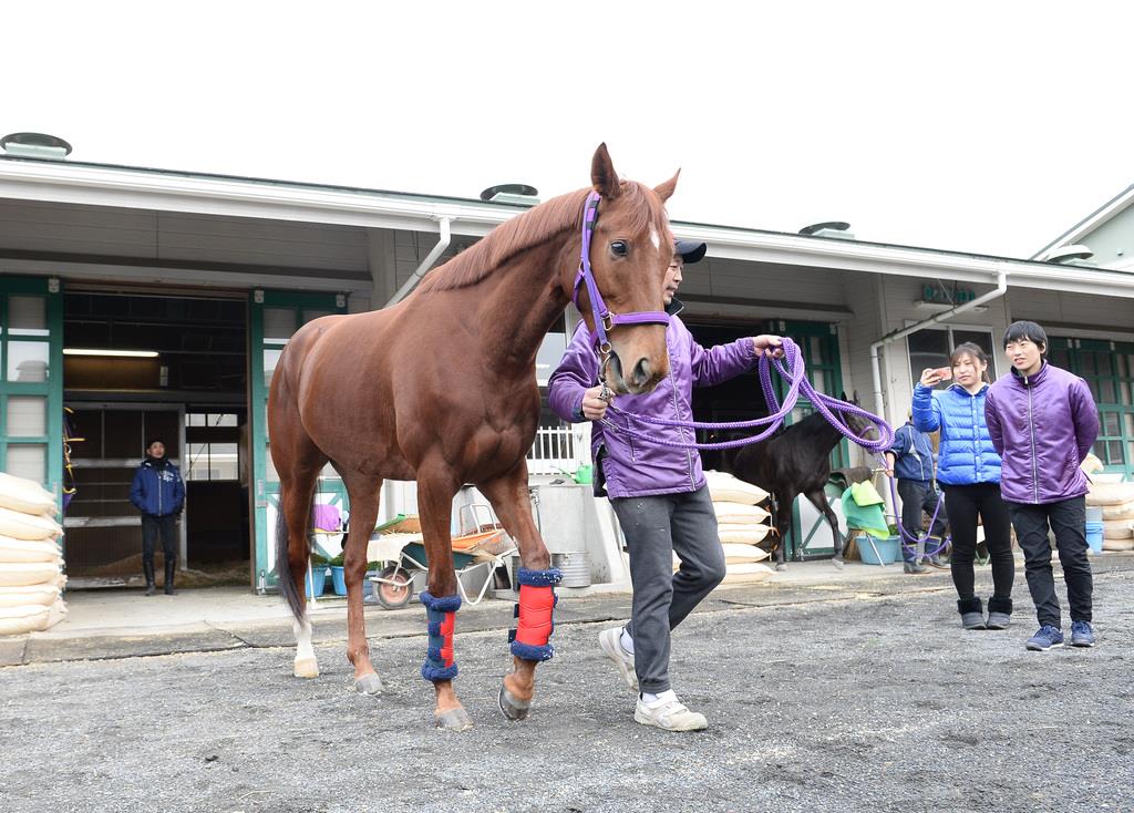 50 Off 競馬 レッツゴードンキ パネル Www Hallo Tv