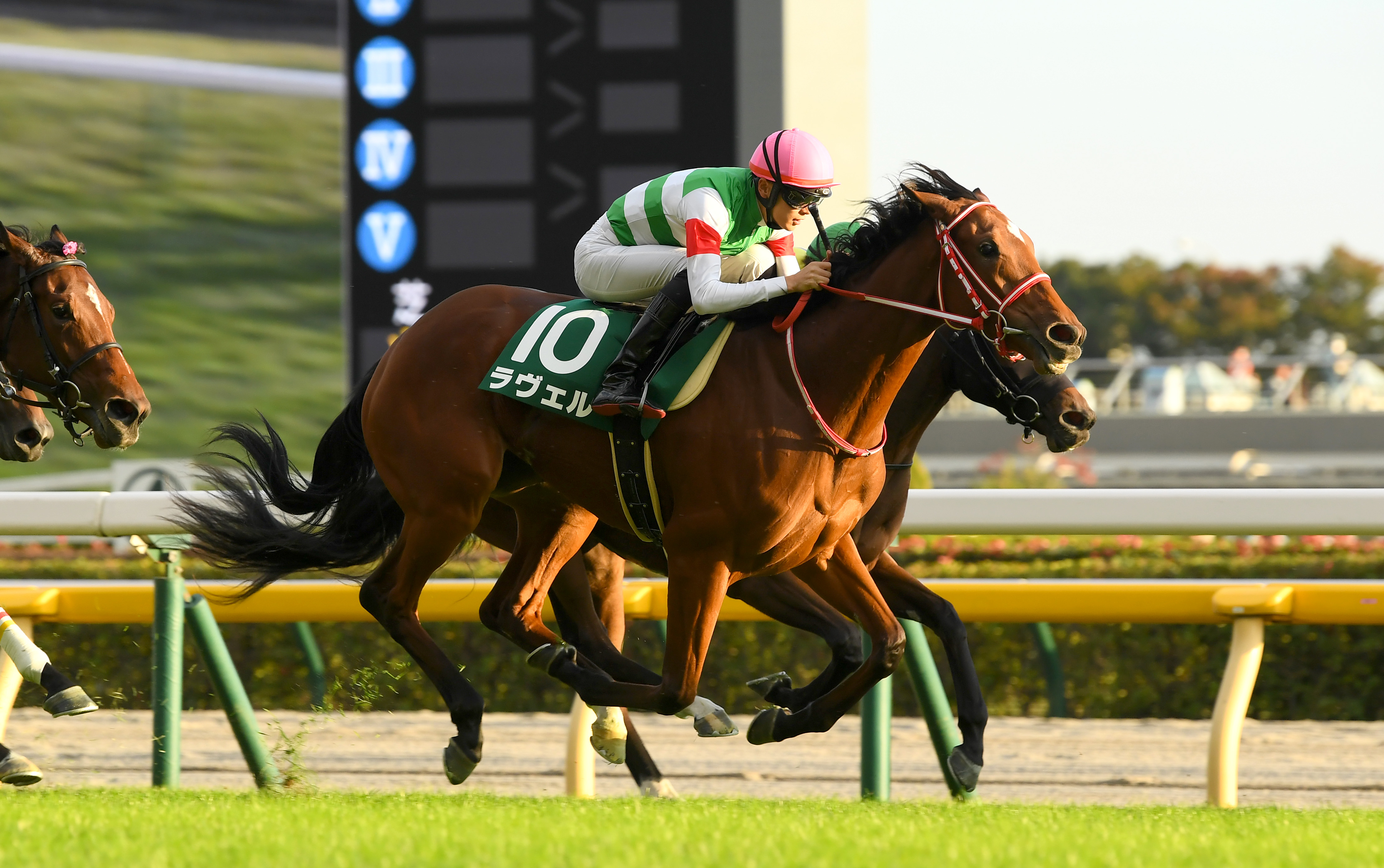 アルテミスS】ラヴェルが姉ナミュール譲りの鋭い末脚を発揮し2連勝