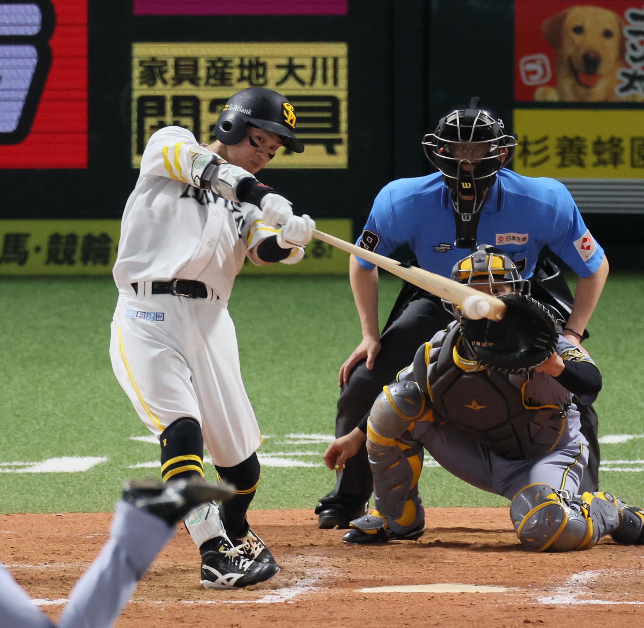 試合結果】ソフトバンクが阪神に3連勝！決勝打の牧原大成「勇の好走塁