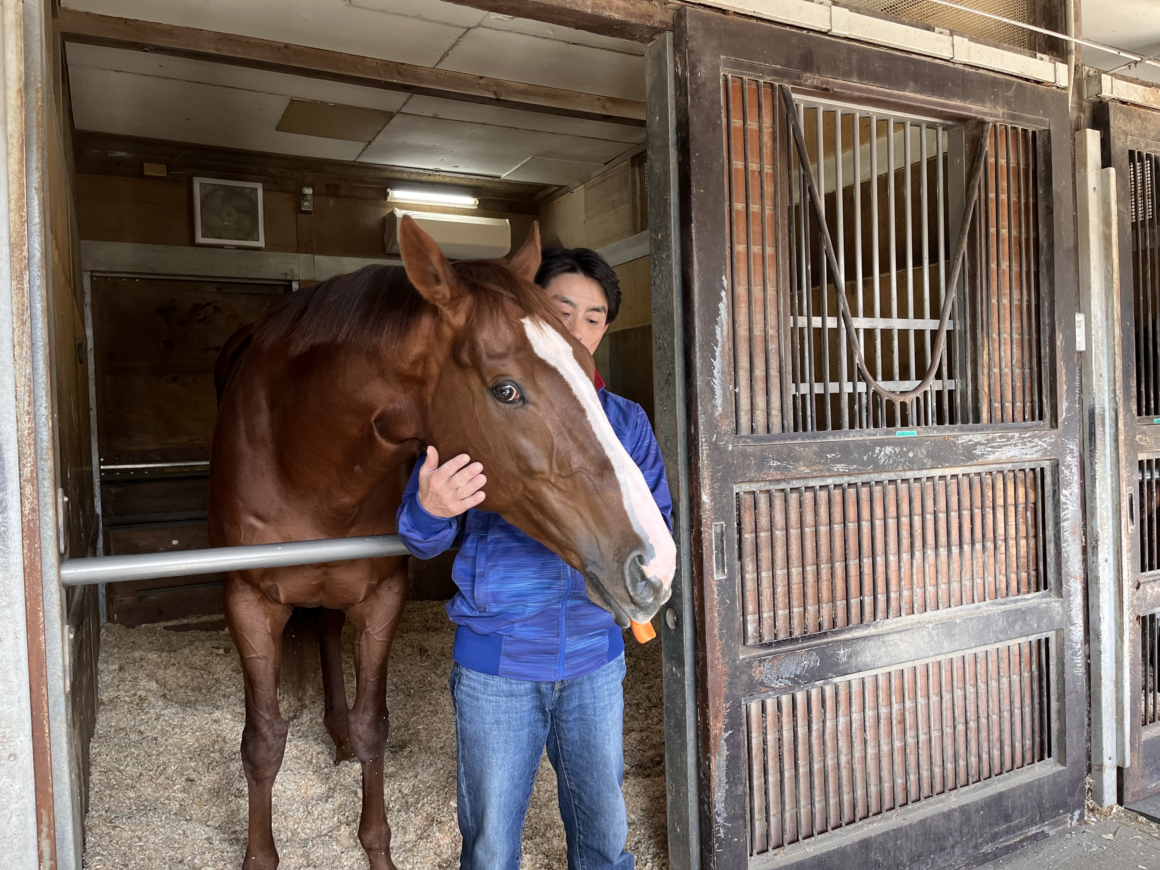 JBCクラシックVのミッキーファイトは自厩舎で静養 回復状態を確認して