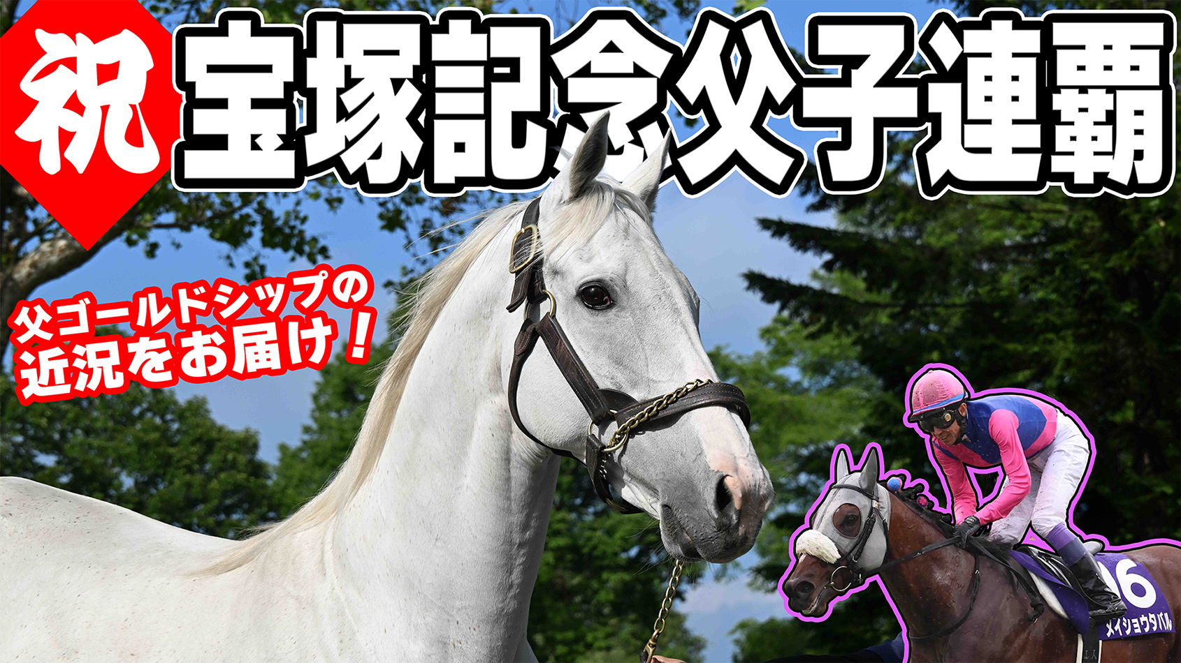 ゴールドシップの母　ポイントフラッグ　新馬戦 ゴールドシップの母 ポイントフラッグ 新馬戦 ポイントフラッグ (Point