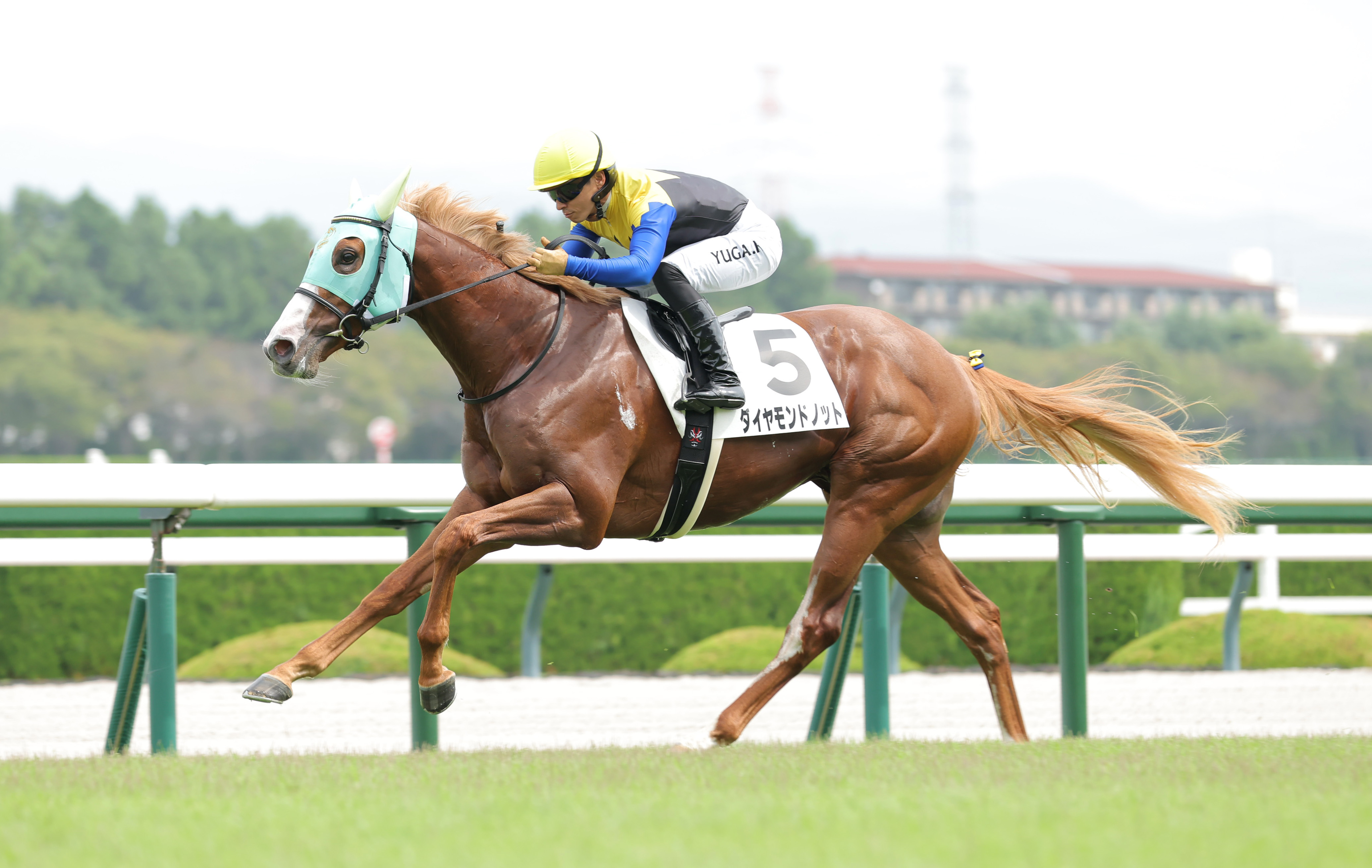 合馬公式アカウント2 合馬公式アカウント2 合馬公式アカウント2様専用 - メルカリ