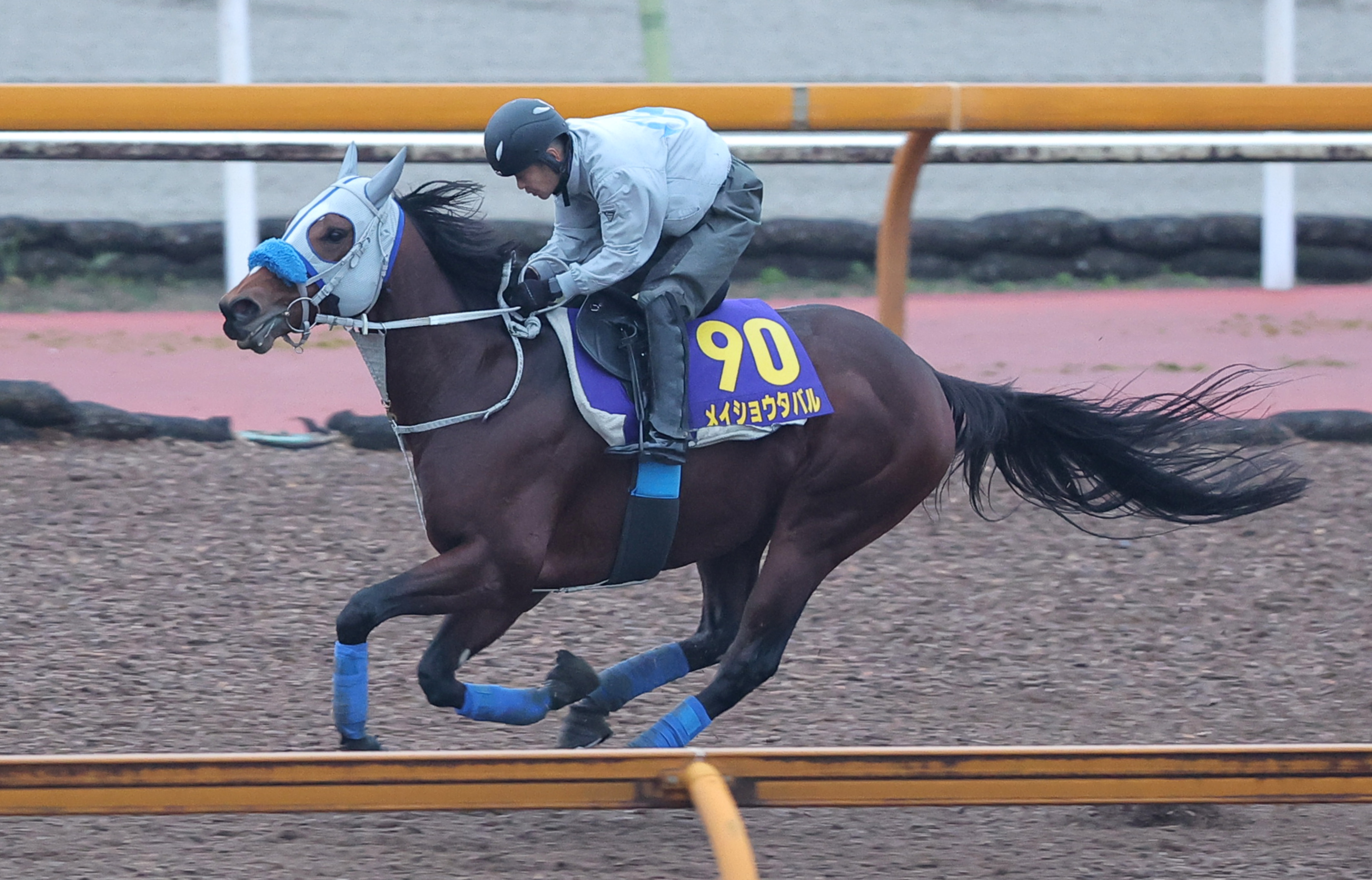 有馬記念 GⅠ予想ドキュメント ◎への道】メイショウタバル〝我慢〟の