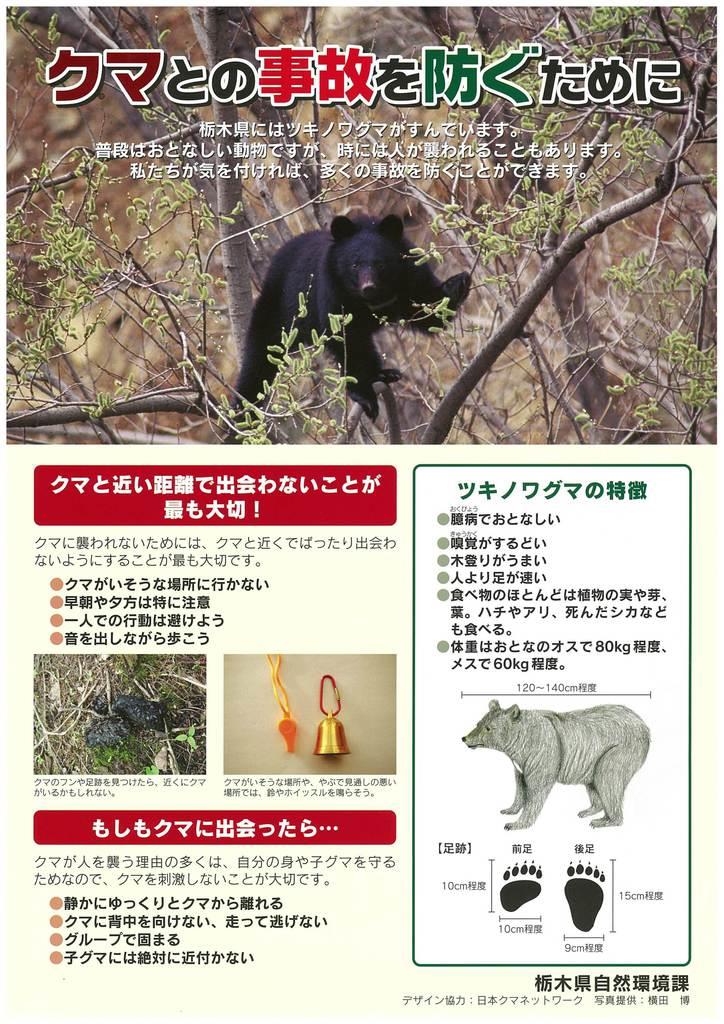 日光東照宮でも 栃木ツキノワグマ目撃急増 1 2ページ 産経ニュース