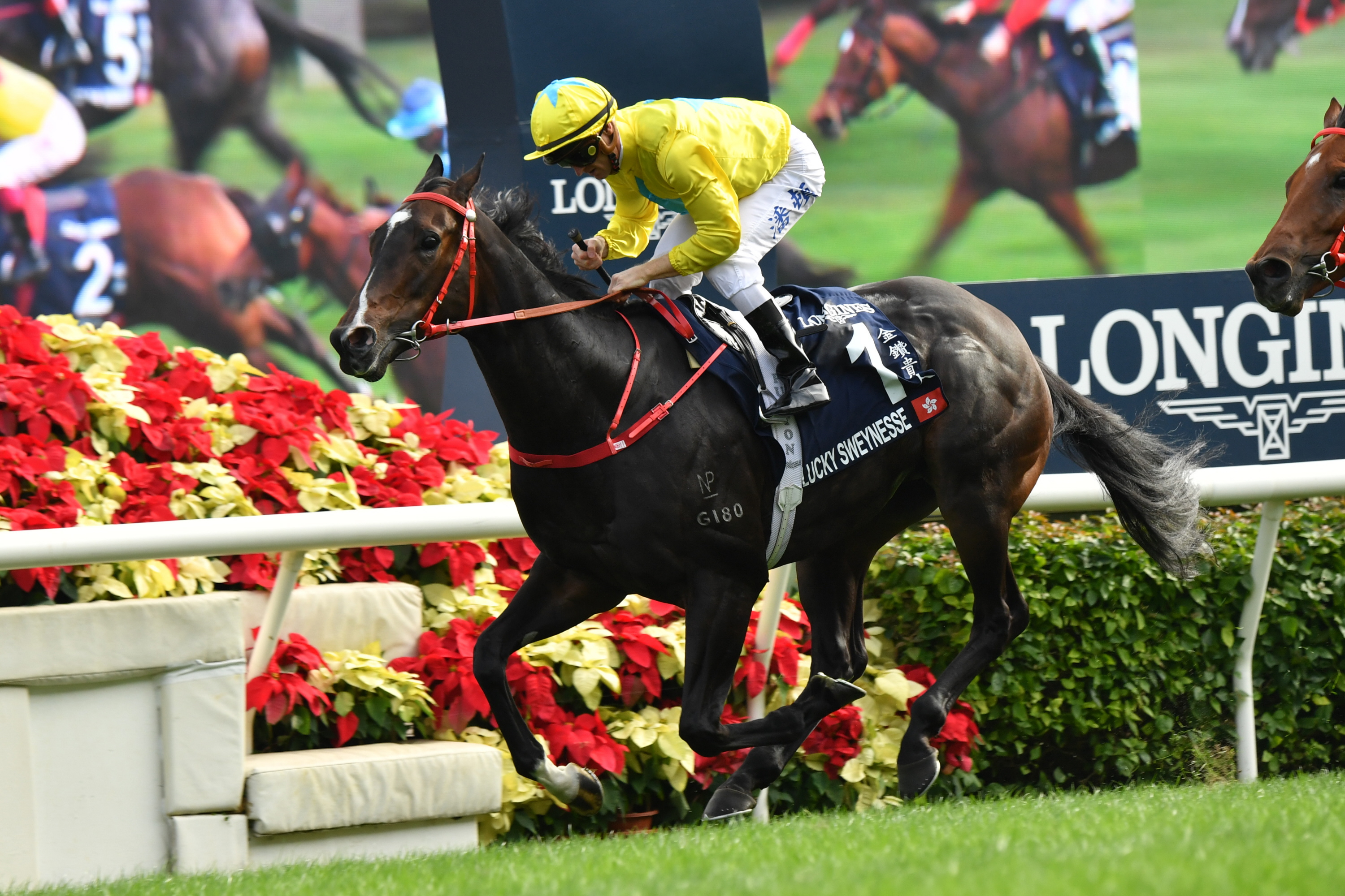 値下げ マイネルラヴ スプリンターズS的中馬券 値下げ