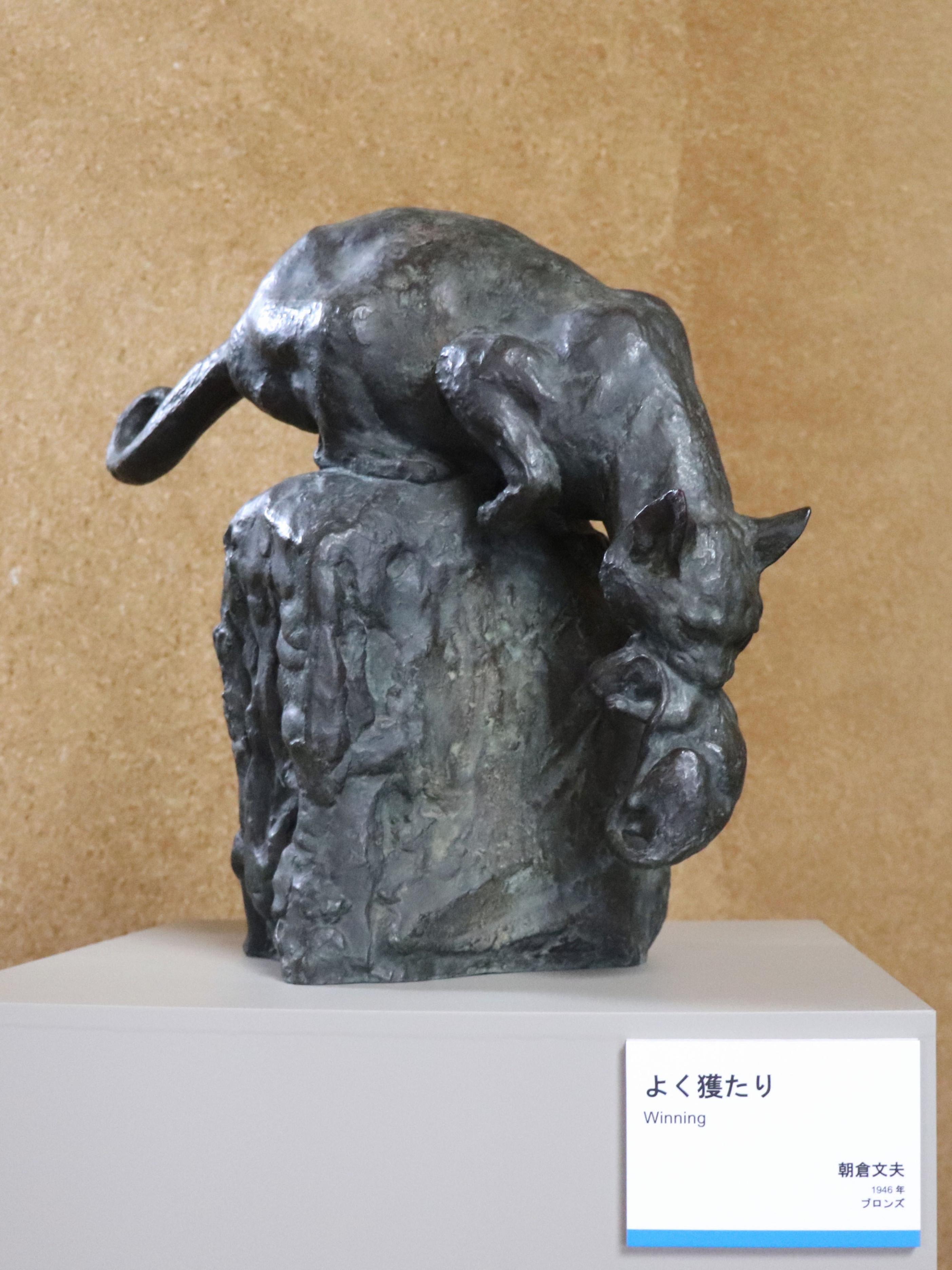 昭和の雰囲気残る商店街でくつろぐ猫に出合う 東京の寺町、谷中で