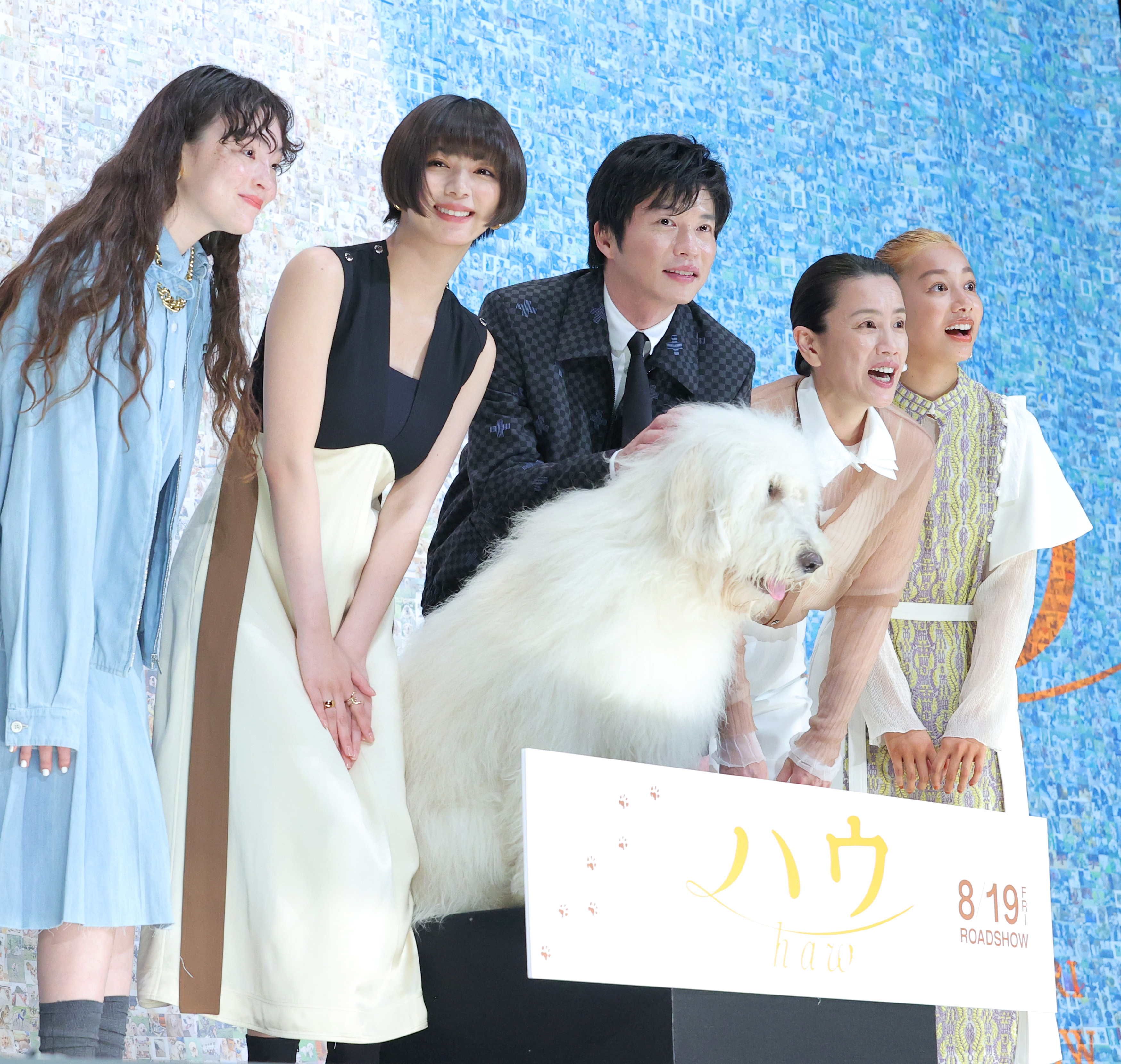 田中圭が最新映画 ハウ の天才犬 ベック君にメロメロ 皆さんも覚悟を ズキューンですよ サンスポ