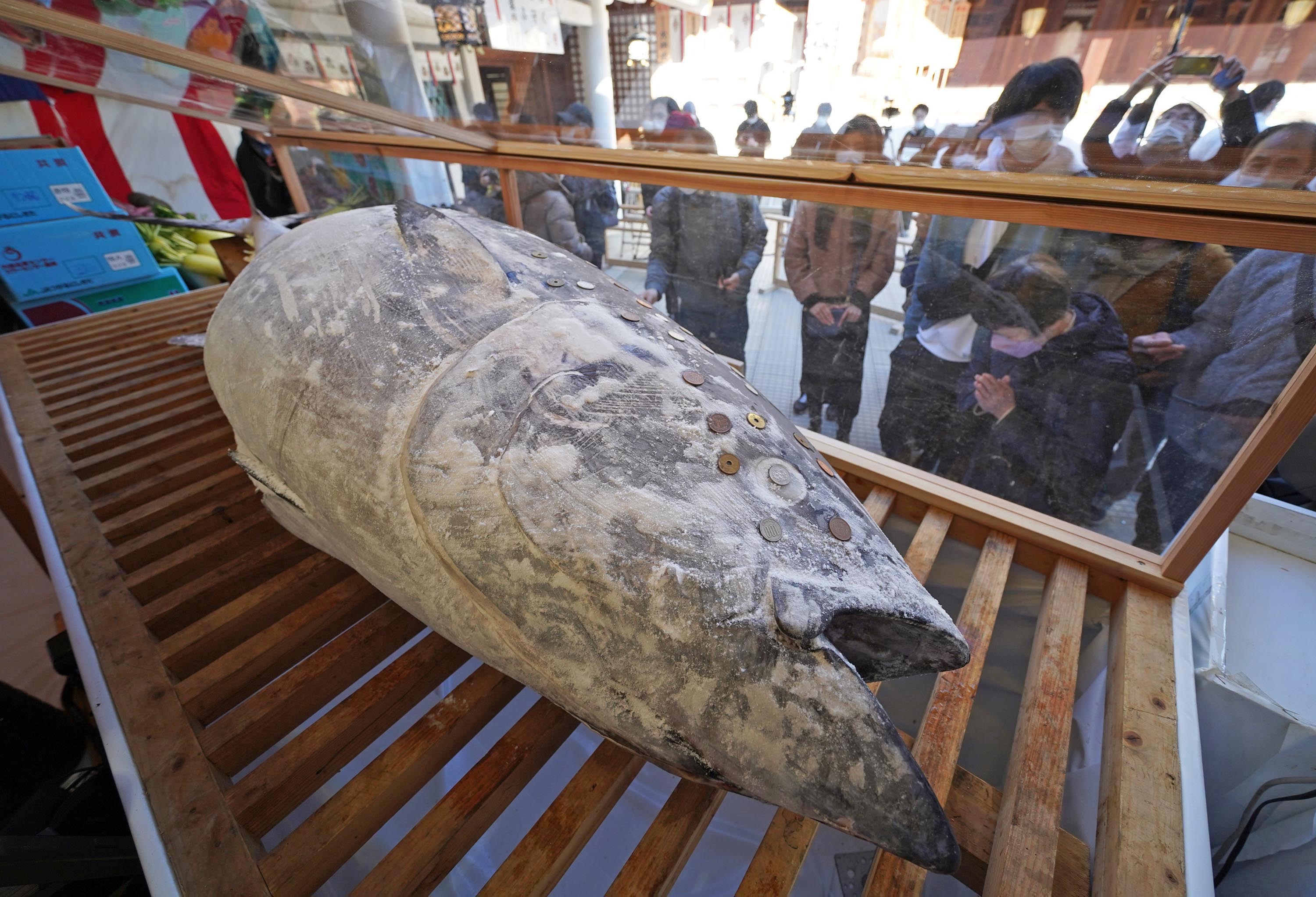 兵庫・西宮神社で大マグロ奉納 今年も賽銭張り付けず - 産経ニュース