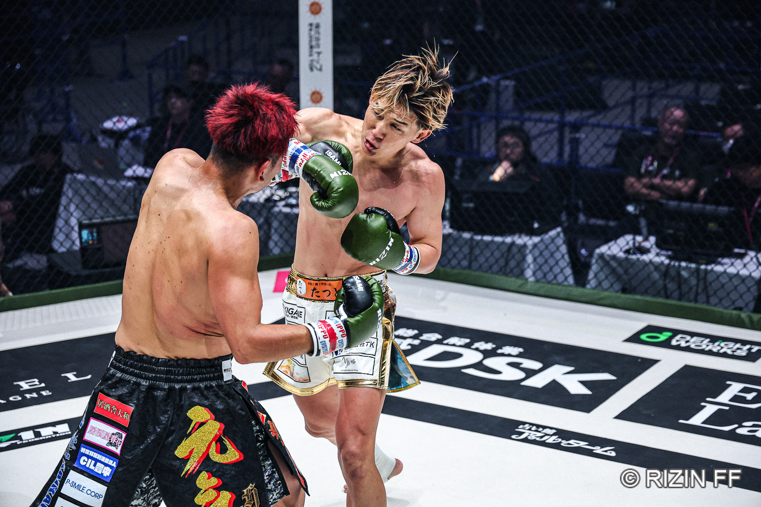 ファイトシンを含む4点をまとめて B2L6ONRGMBG7BGI3FL6RI4OWEI.jpg