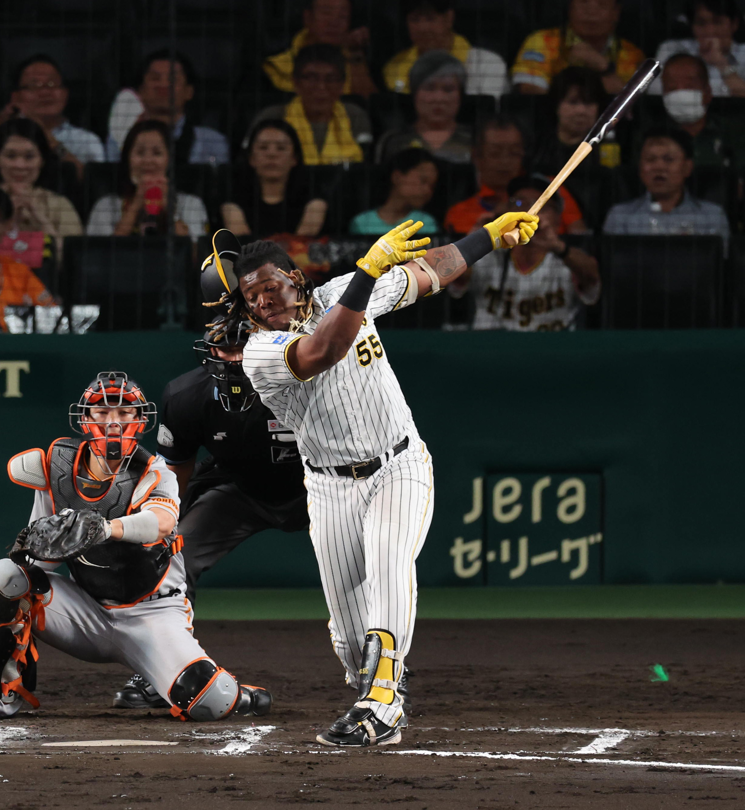 2023高い素材 最終値下げ❗️阪神タイガース セリーグ優勝記念ビール ...