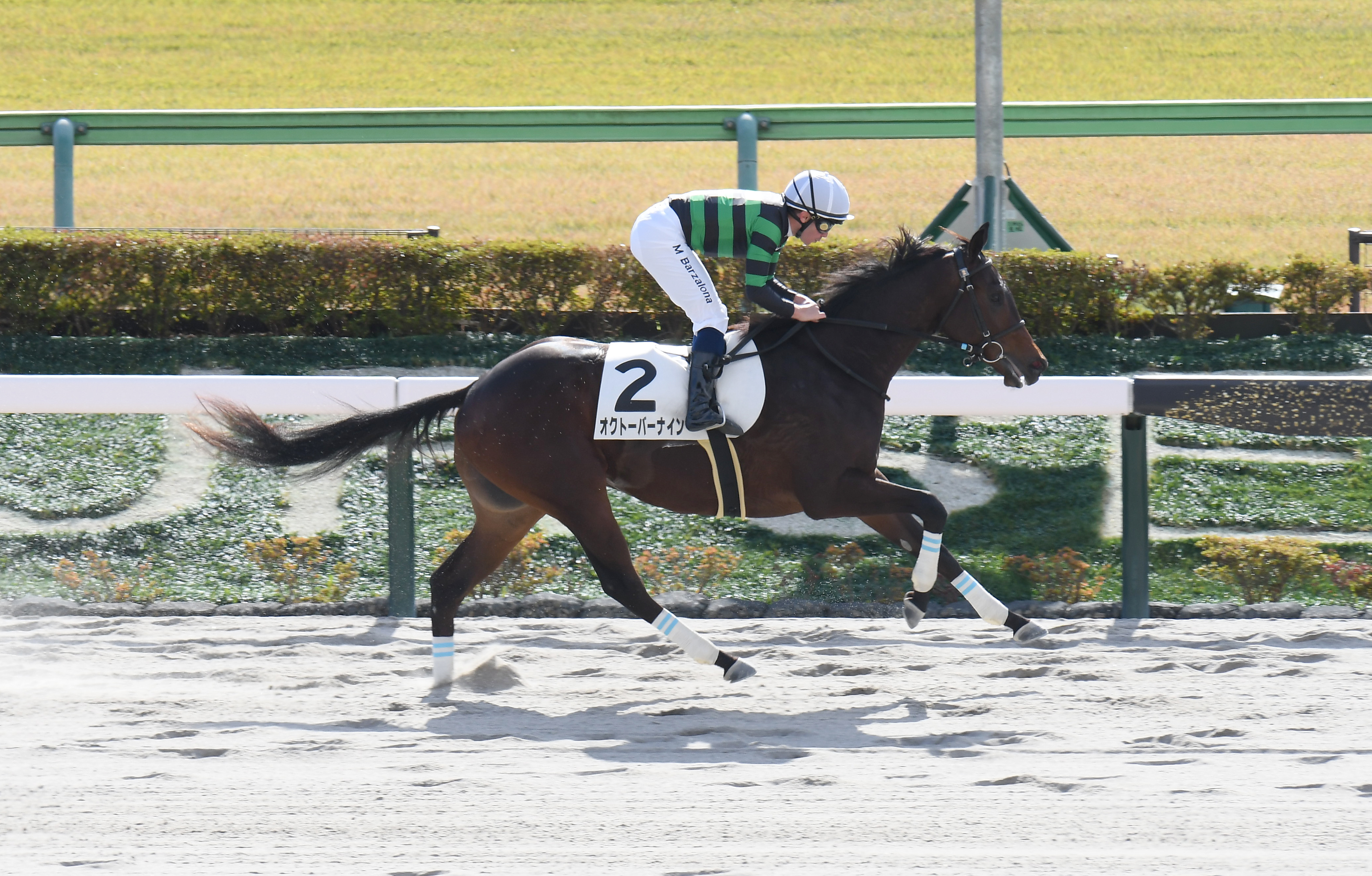 2歳新馬・東京4R】伏兵オクトーバーナインが7馬身差V バルザローナ騎手