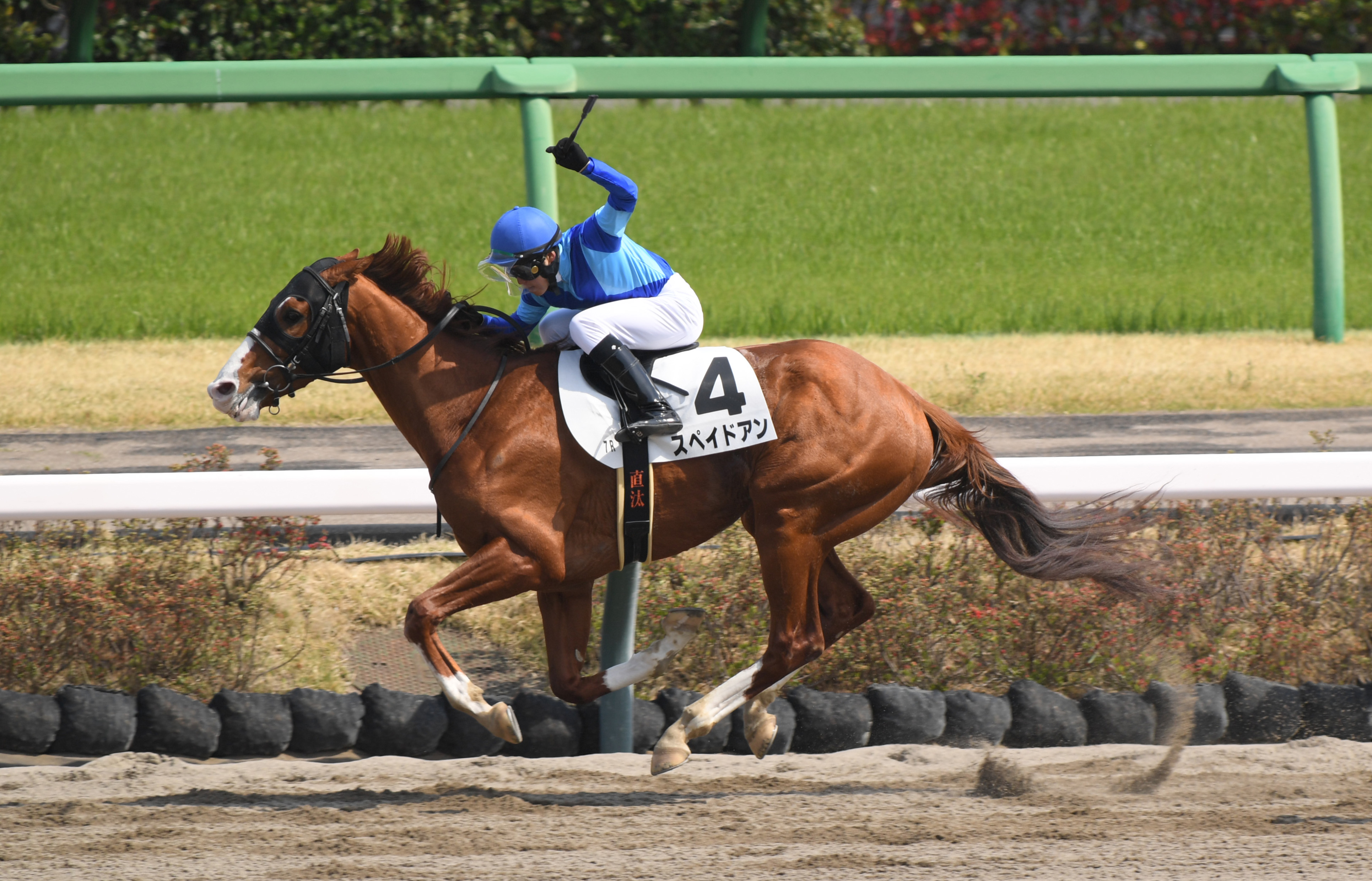 沖縄県出身・上里直汰騎手が初勝利 「感謝の気持ちでいっぱいです
