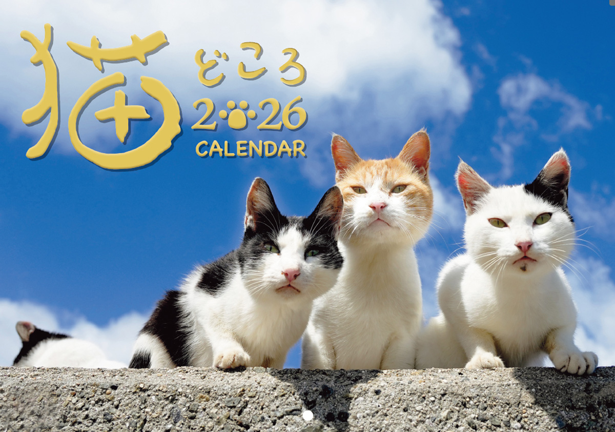 ハート柄の猫が決め手に 産経のベテランカメラマンが撮る「猫どころ