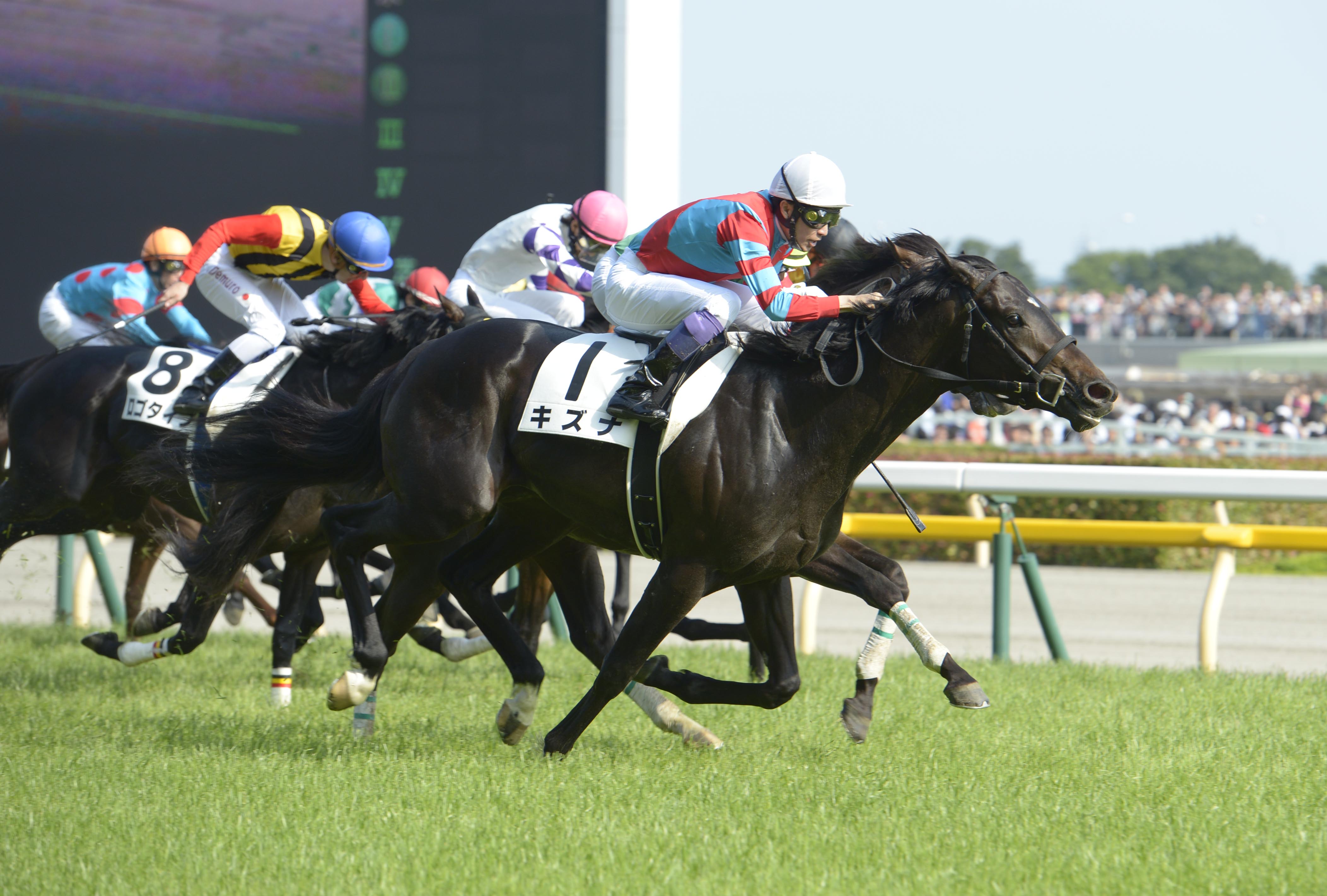 JRA★東京競馬場限定　第85回 日本ダービー 東京優駿 トートバッグ