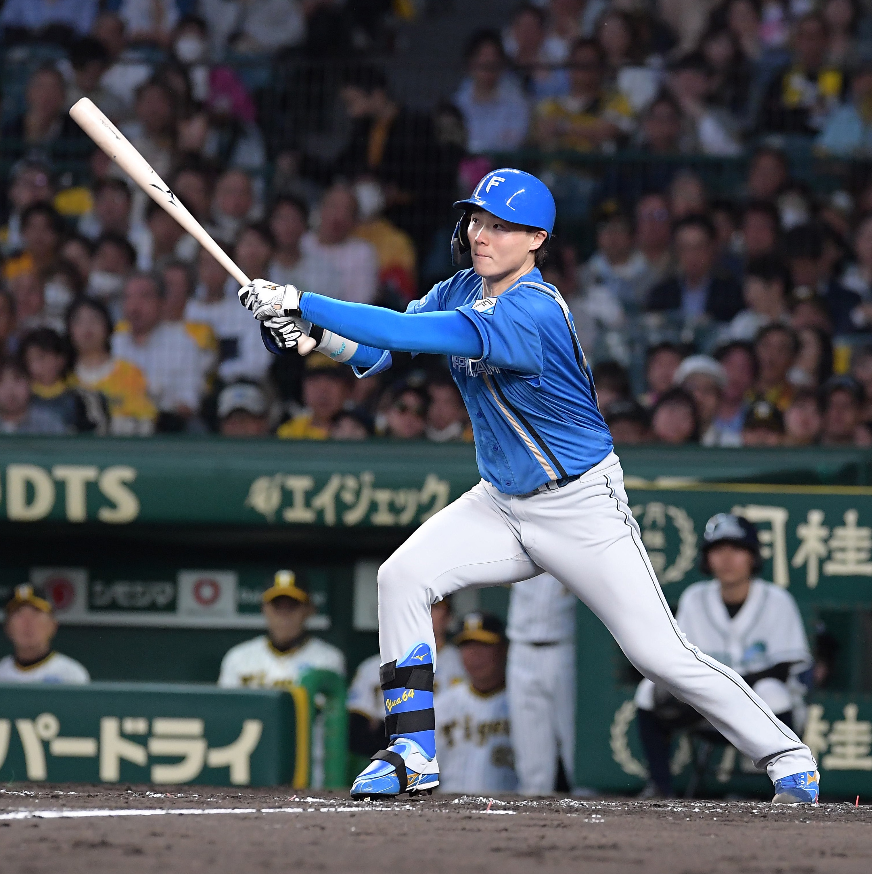 日本ハム山崎福也、思い出の甲子園で二刀流 「6番・投手」で先制打