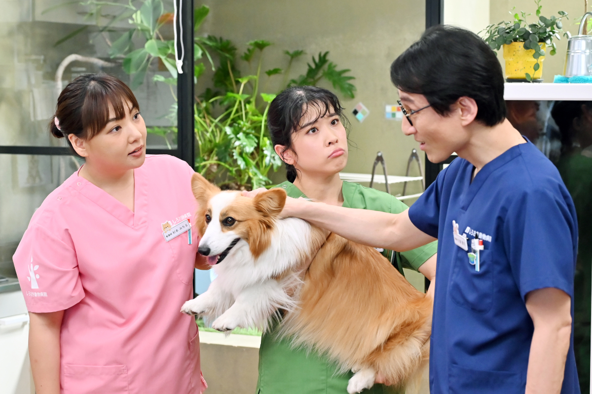 初恋DOGs ポスター TBS系毎週火曜よる 10時～放送中 火曜ドラマ「初恋DOGs」写真展