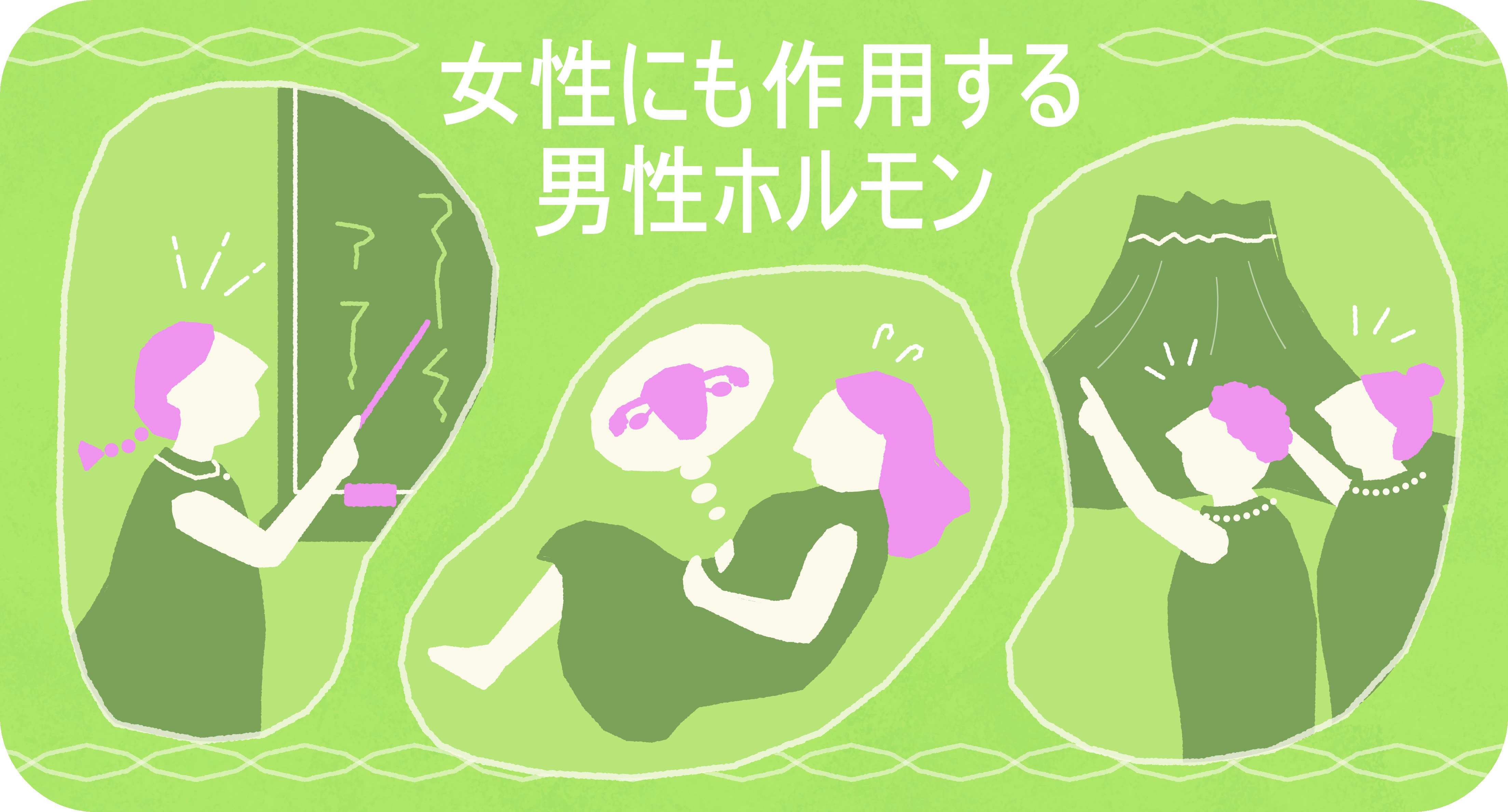 男性 ホルモン 生理