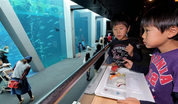 水族館で食育】釣ってさばいて命を学ぶu2026この新たな取り組みは、魚離れ