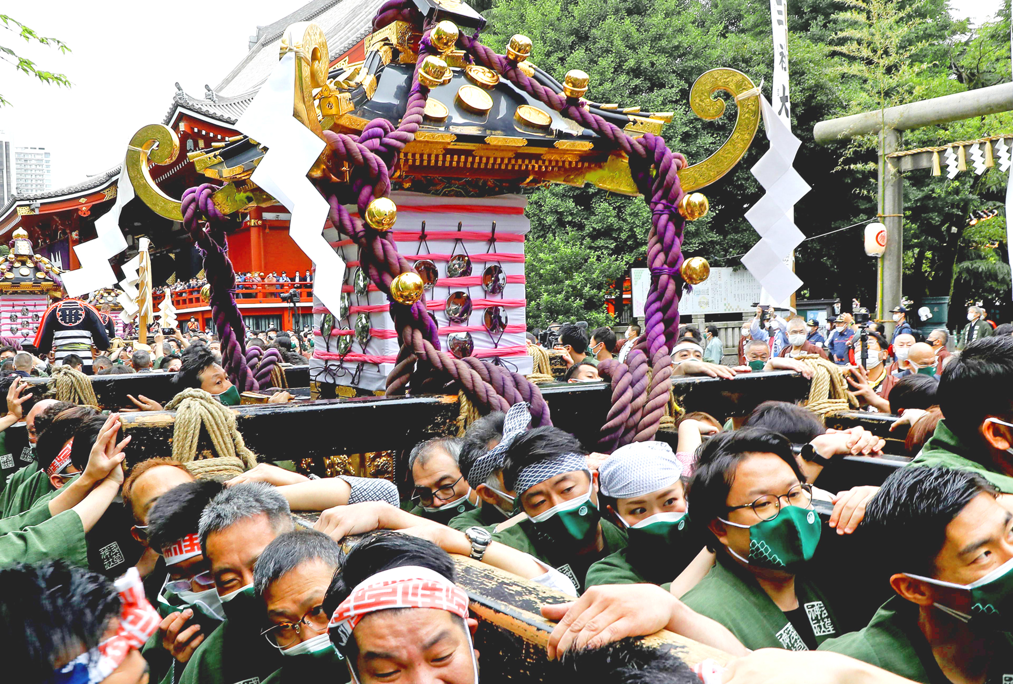 うちわ 江戸消防 鳶 お神輿 祭り 頭 火消し 浅草 三社祭 | www