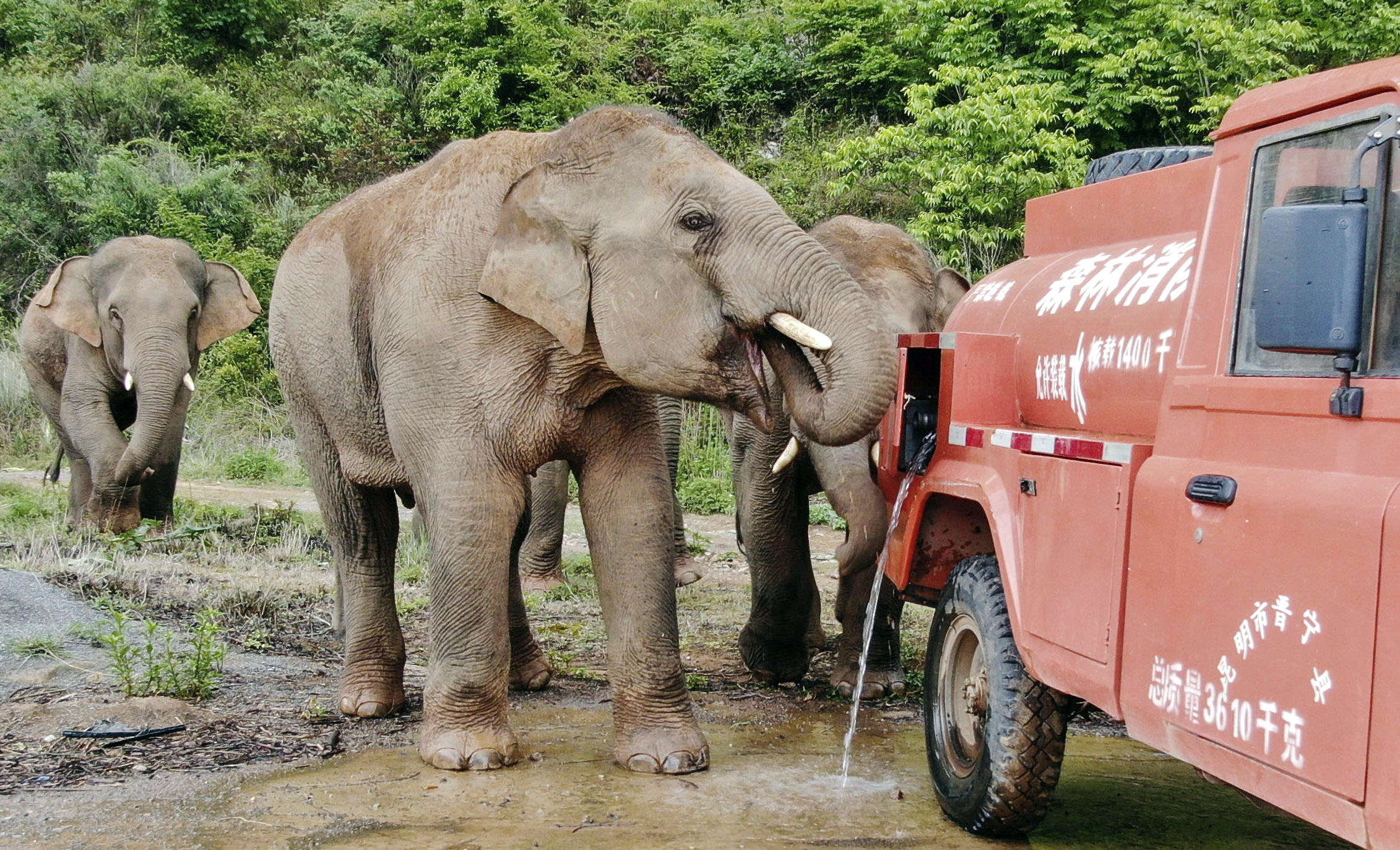 中国 進撃の巨象 に夢中 １００万人 国営tvのネット中継見守る 産経ニュース